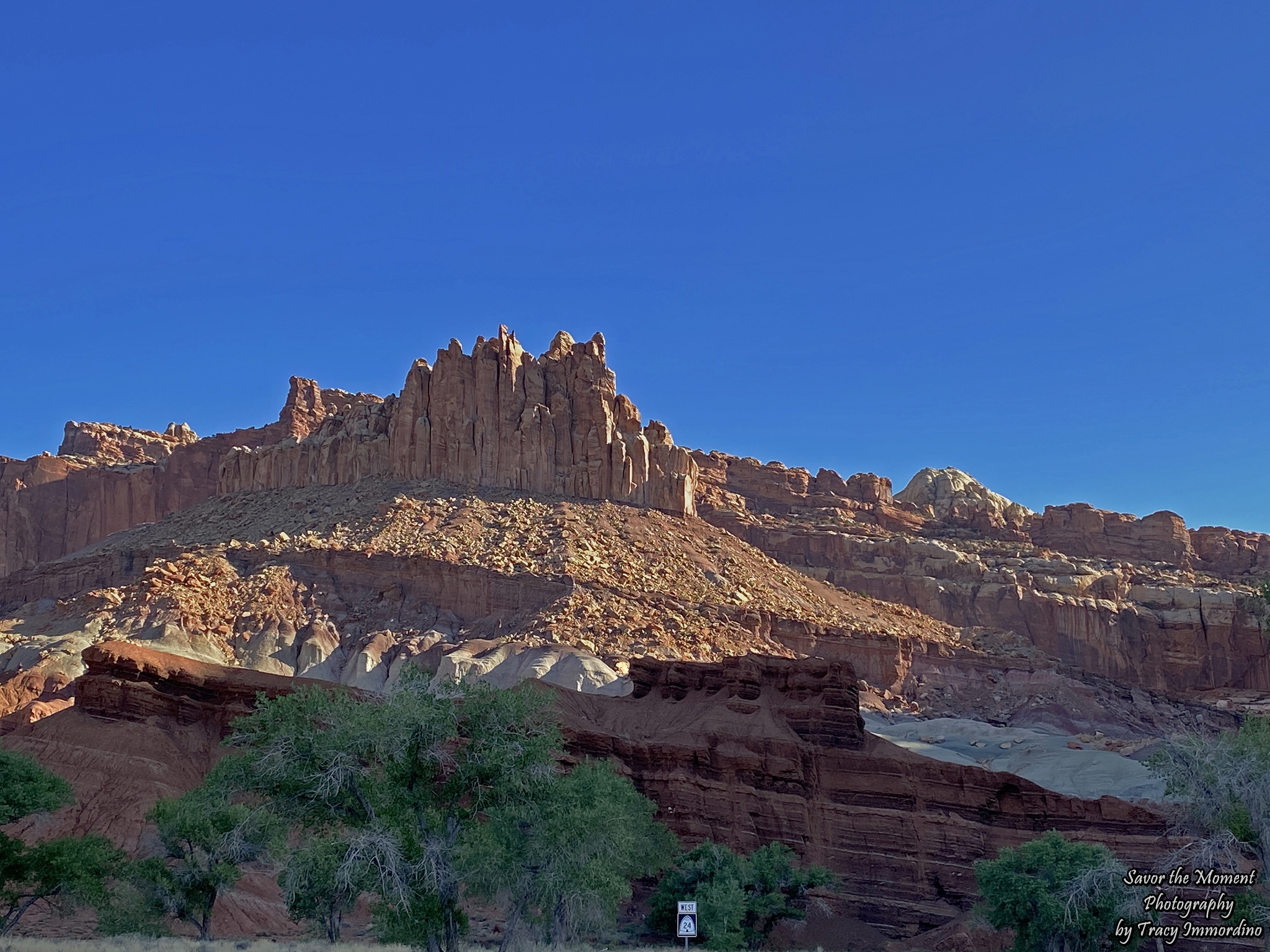 Capitol Reef National Park