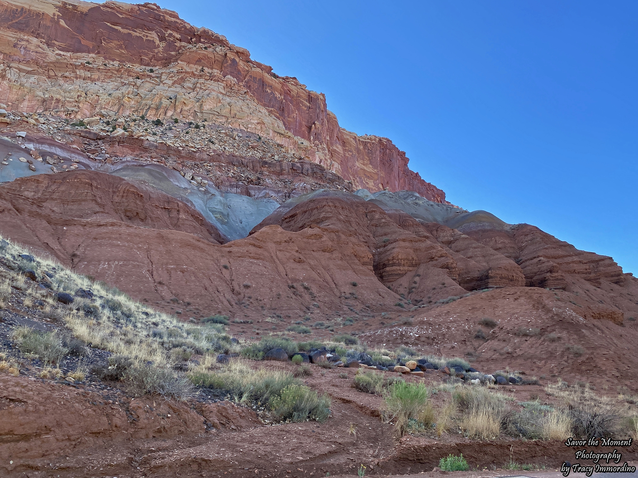 Capitol Reef National Park