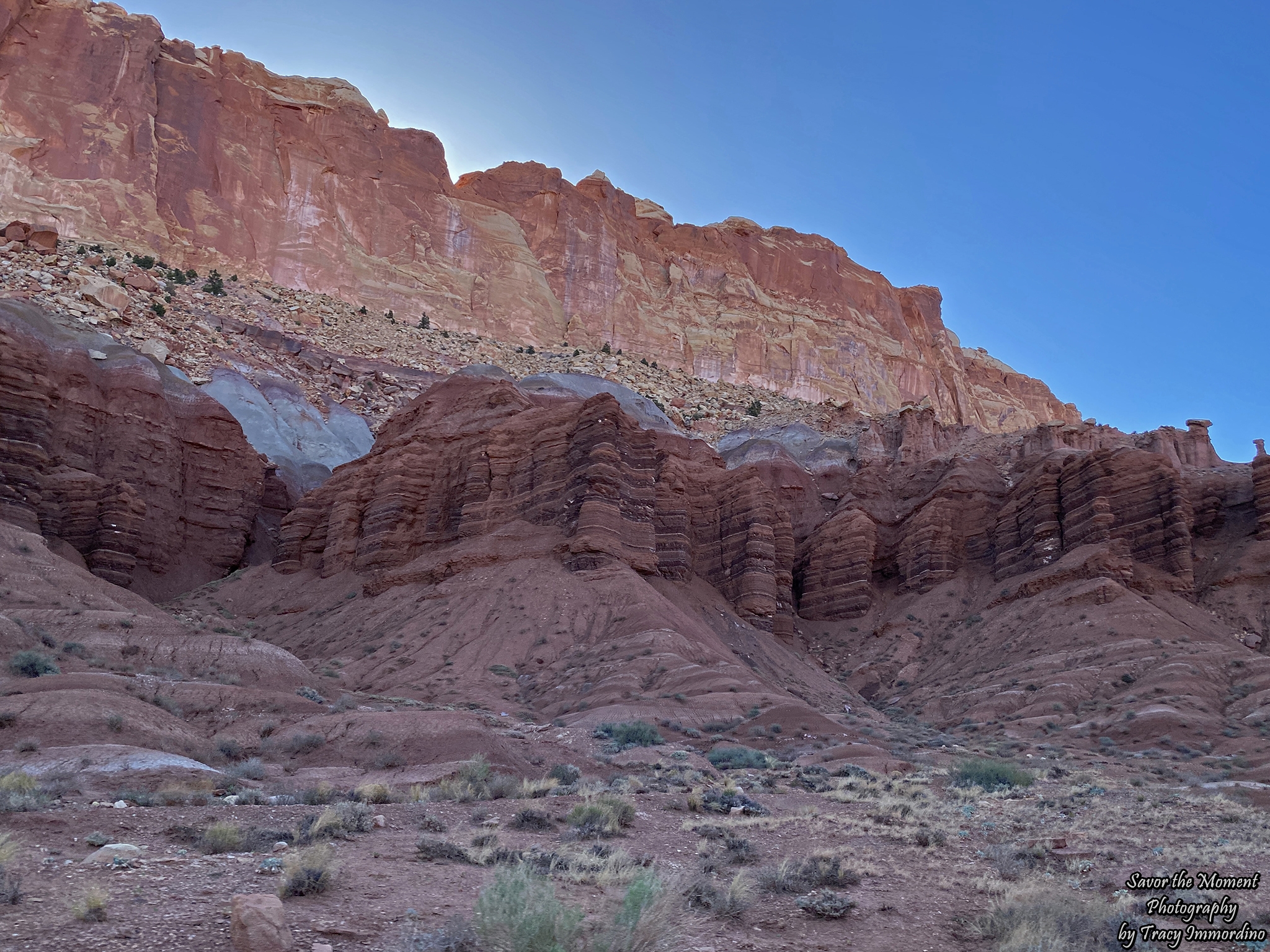 Capitol Reef National Park