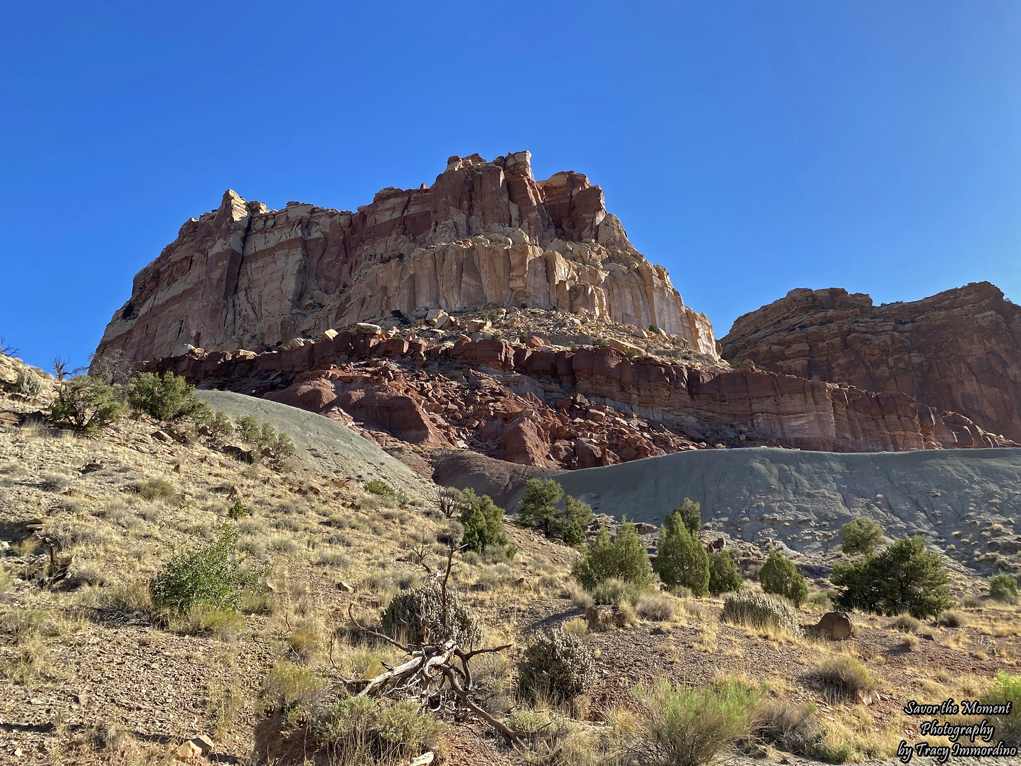 Capitol Reef National Park