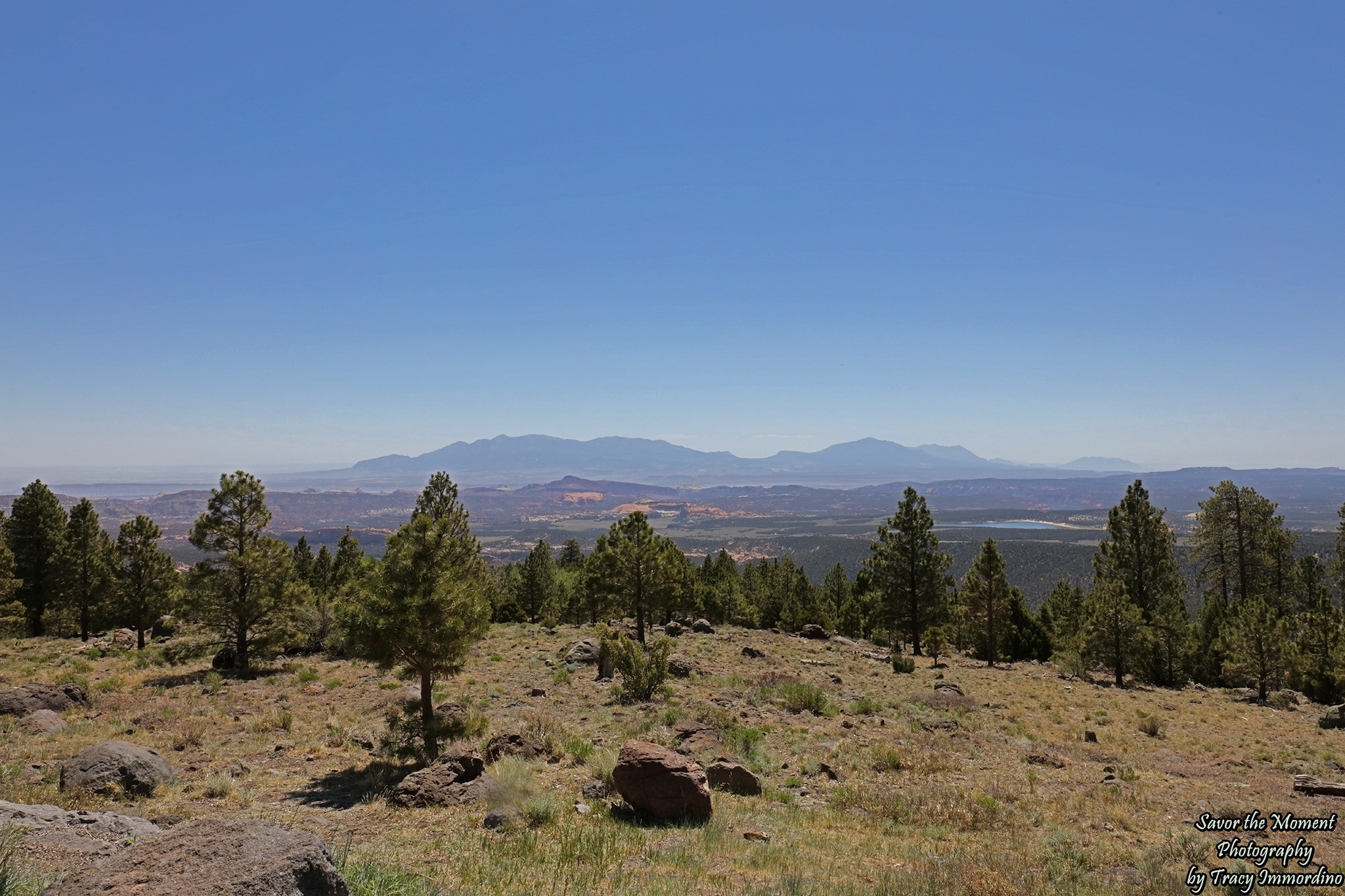 Larb Hollow Overlook