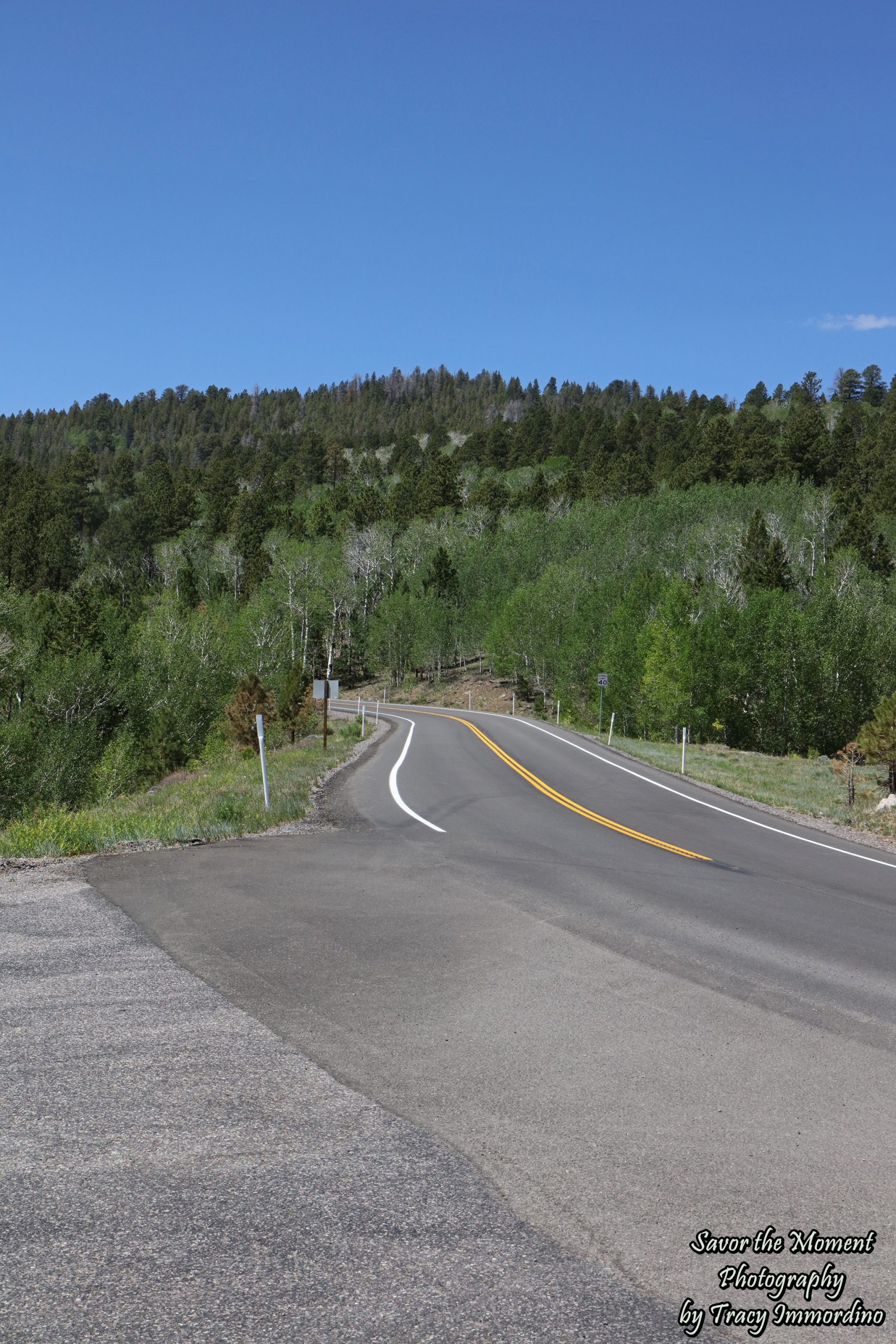 Larb Hollow Overlook