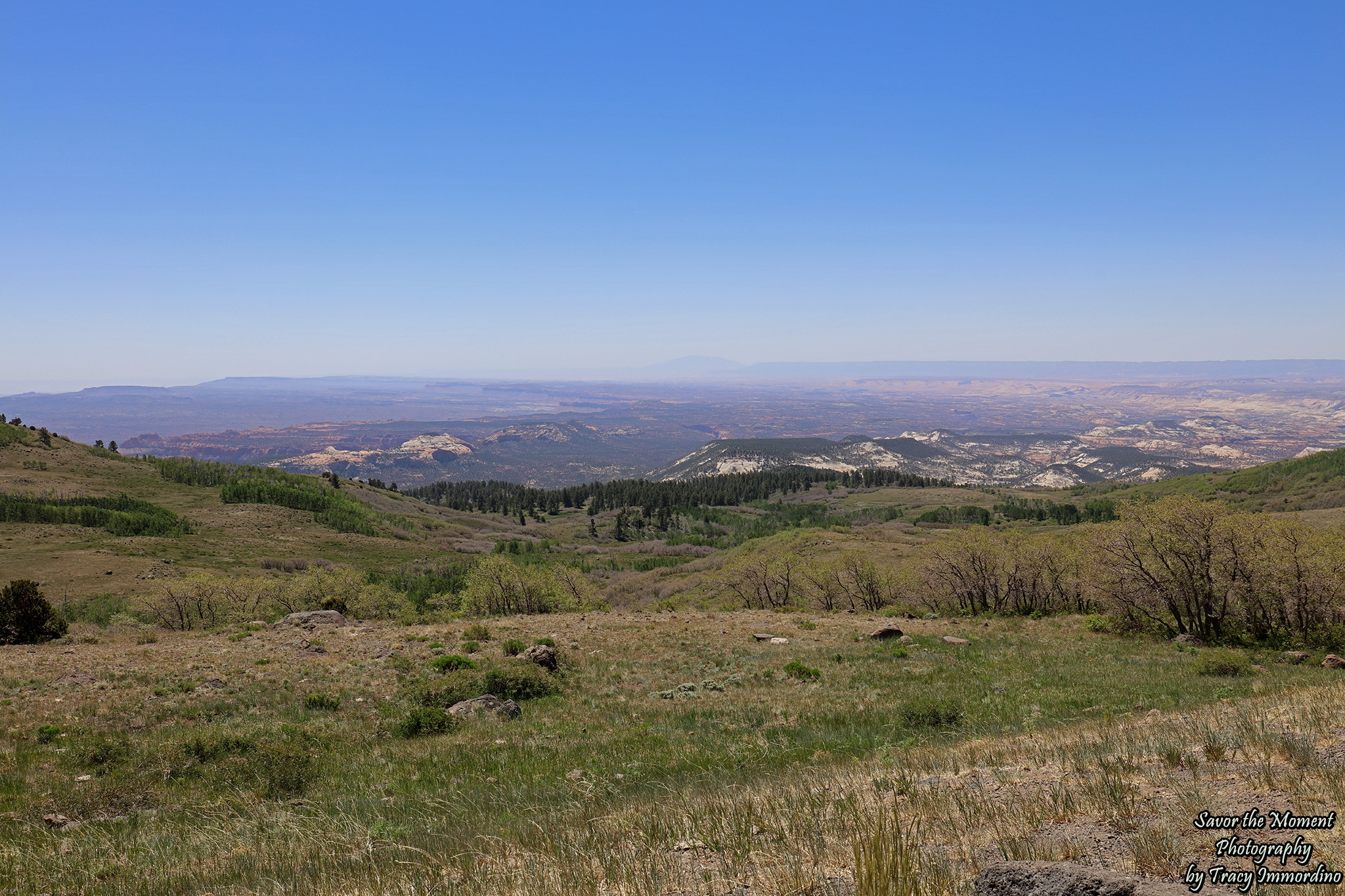 Steep Creek Overlook