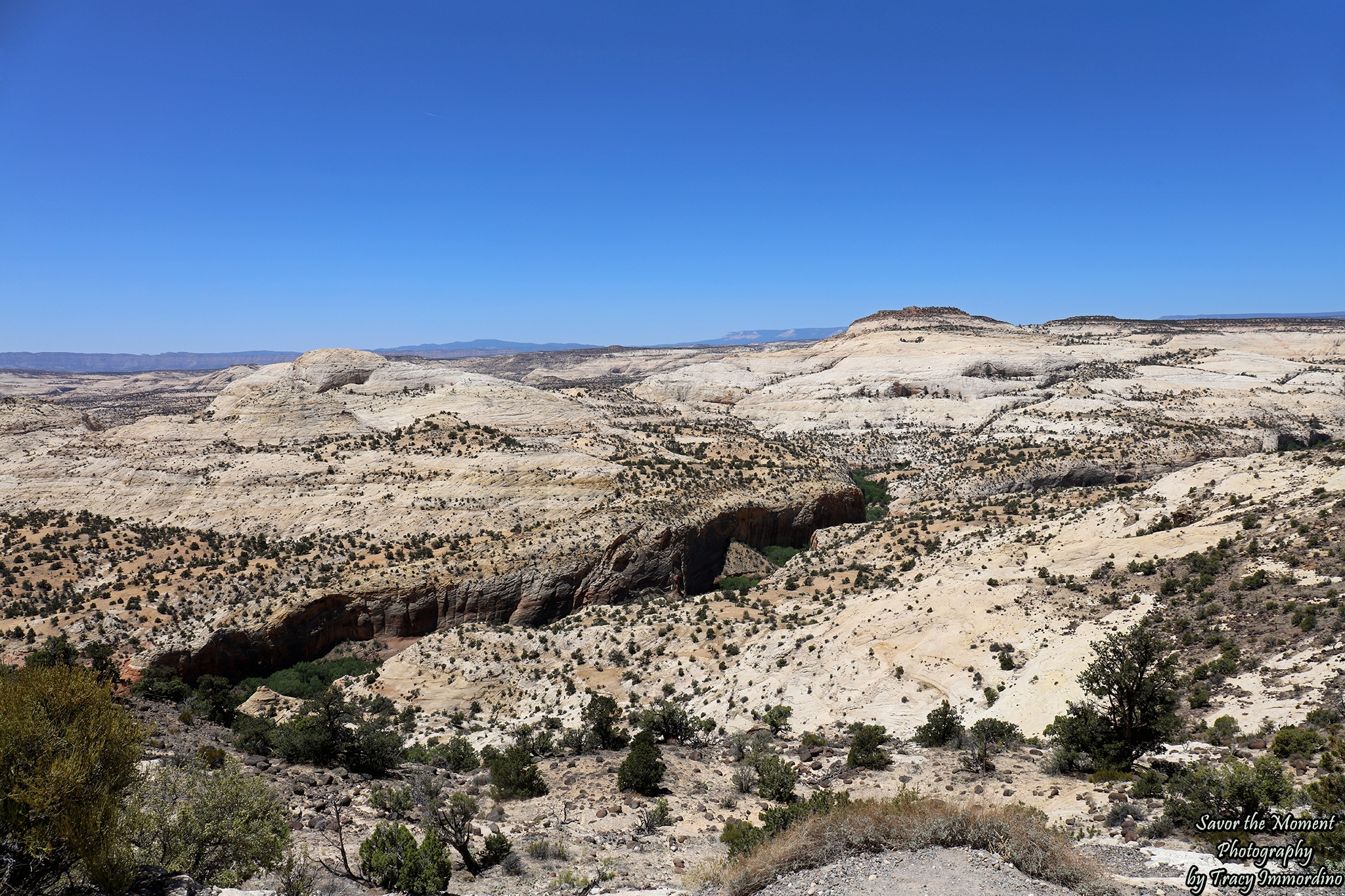 The Boynton Overlook