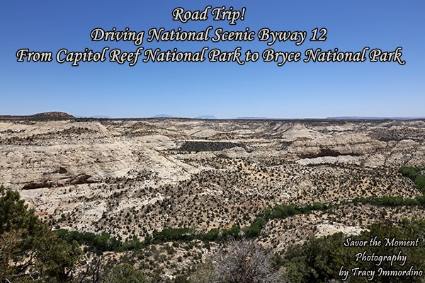 National Scenic Byway 12