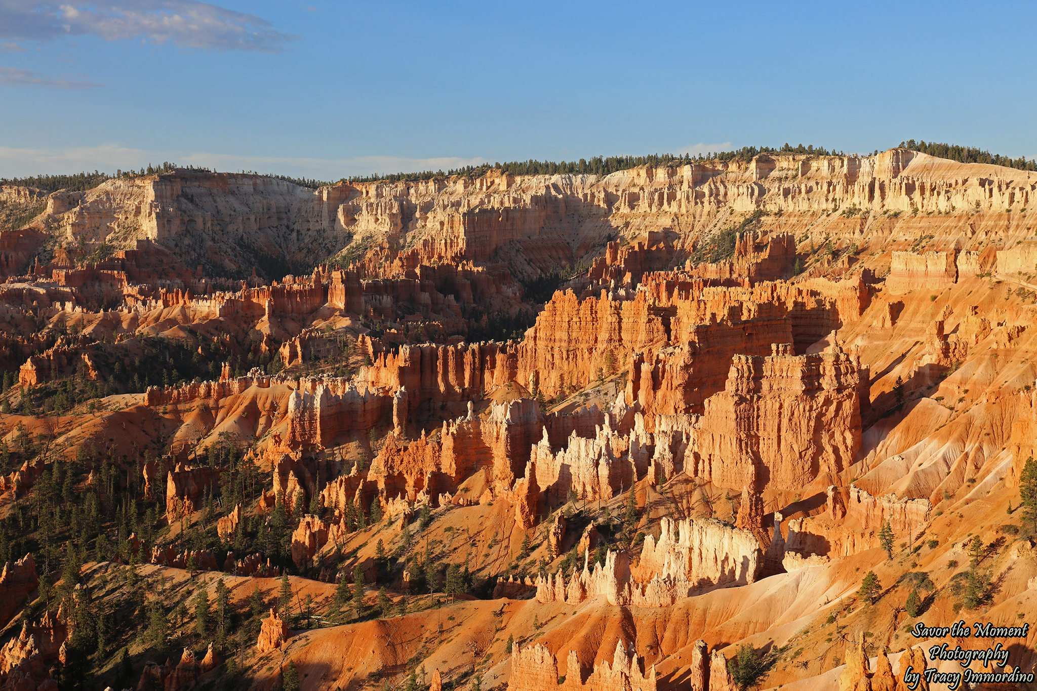 Queen's Garden Trail