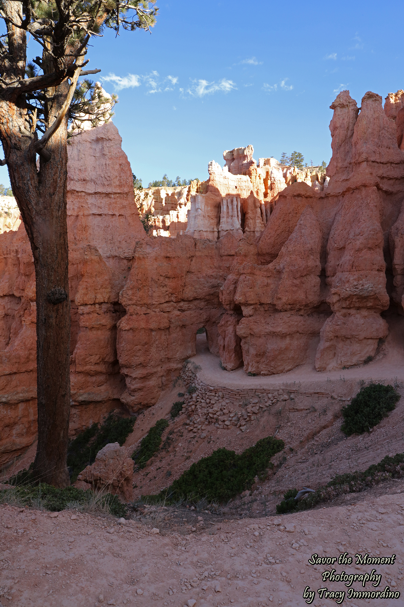 Queen's Garden Trail