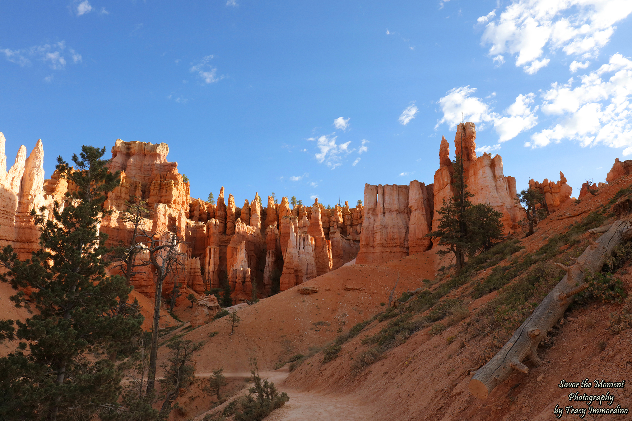 Queen's Garden Trail