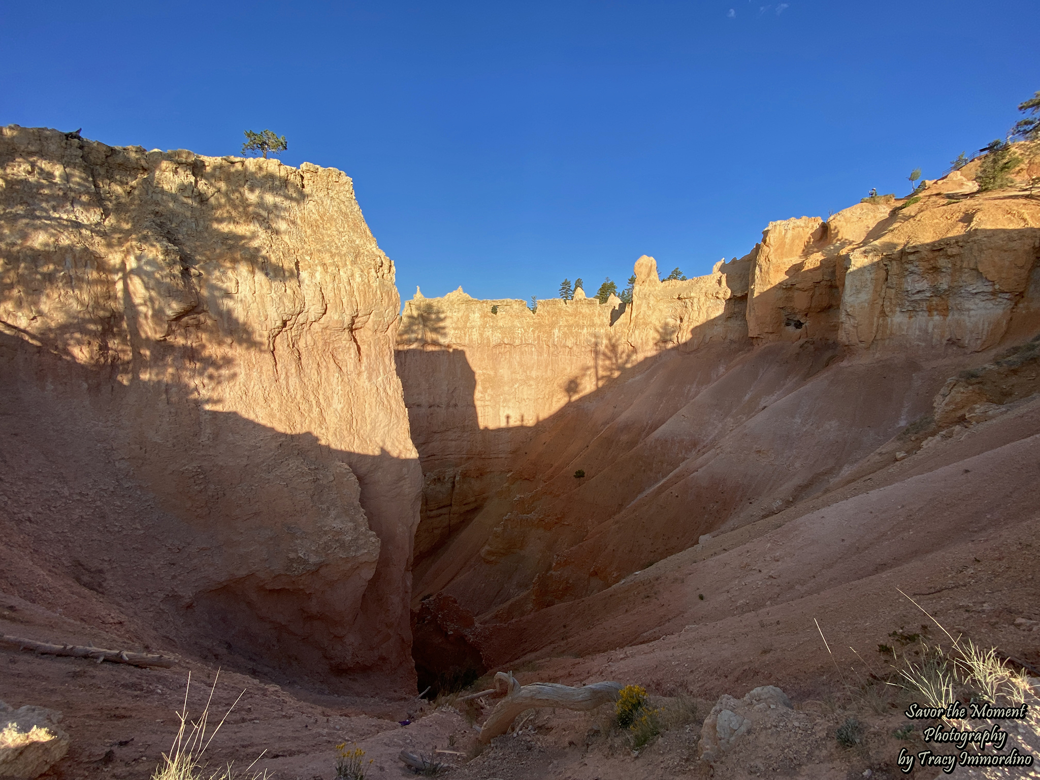 Queen's Garden Trail