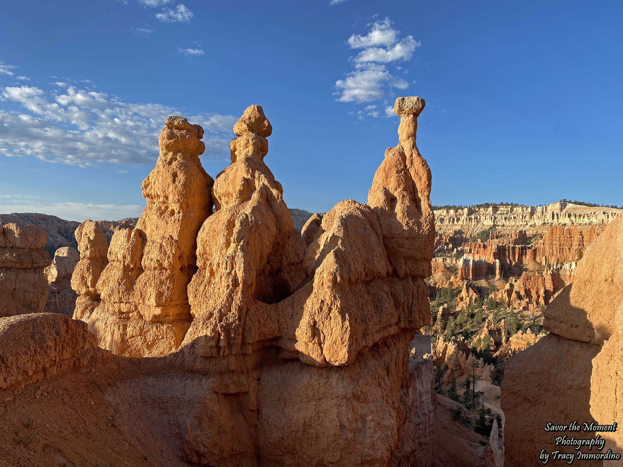 Queen's Garden Trail