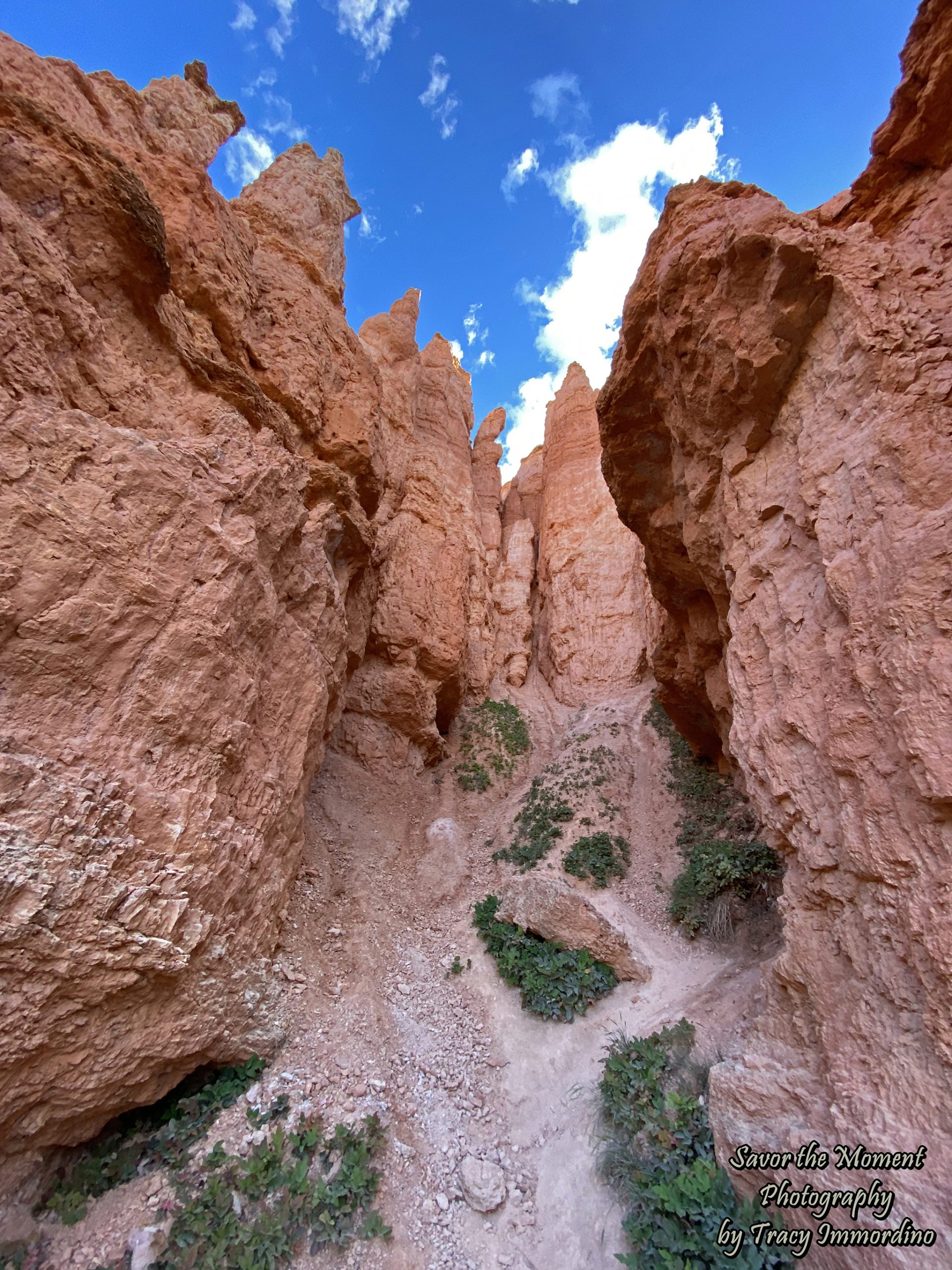 Queen's Garden Trail