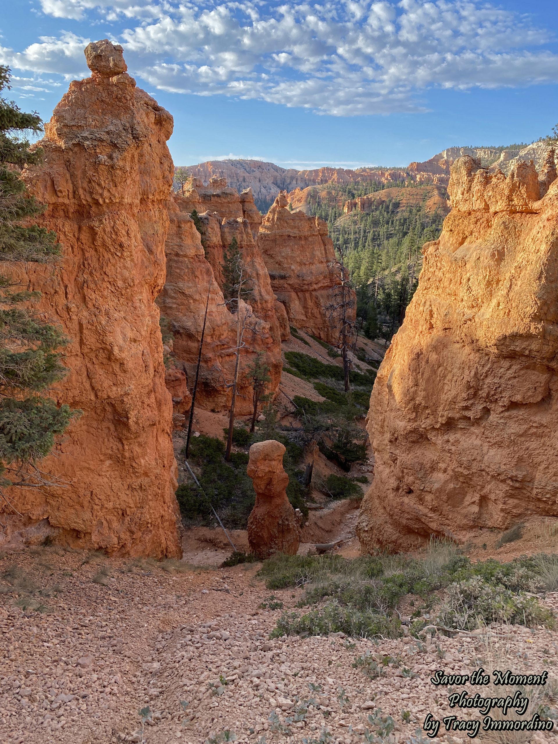 Queen's Garden Trail