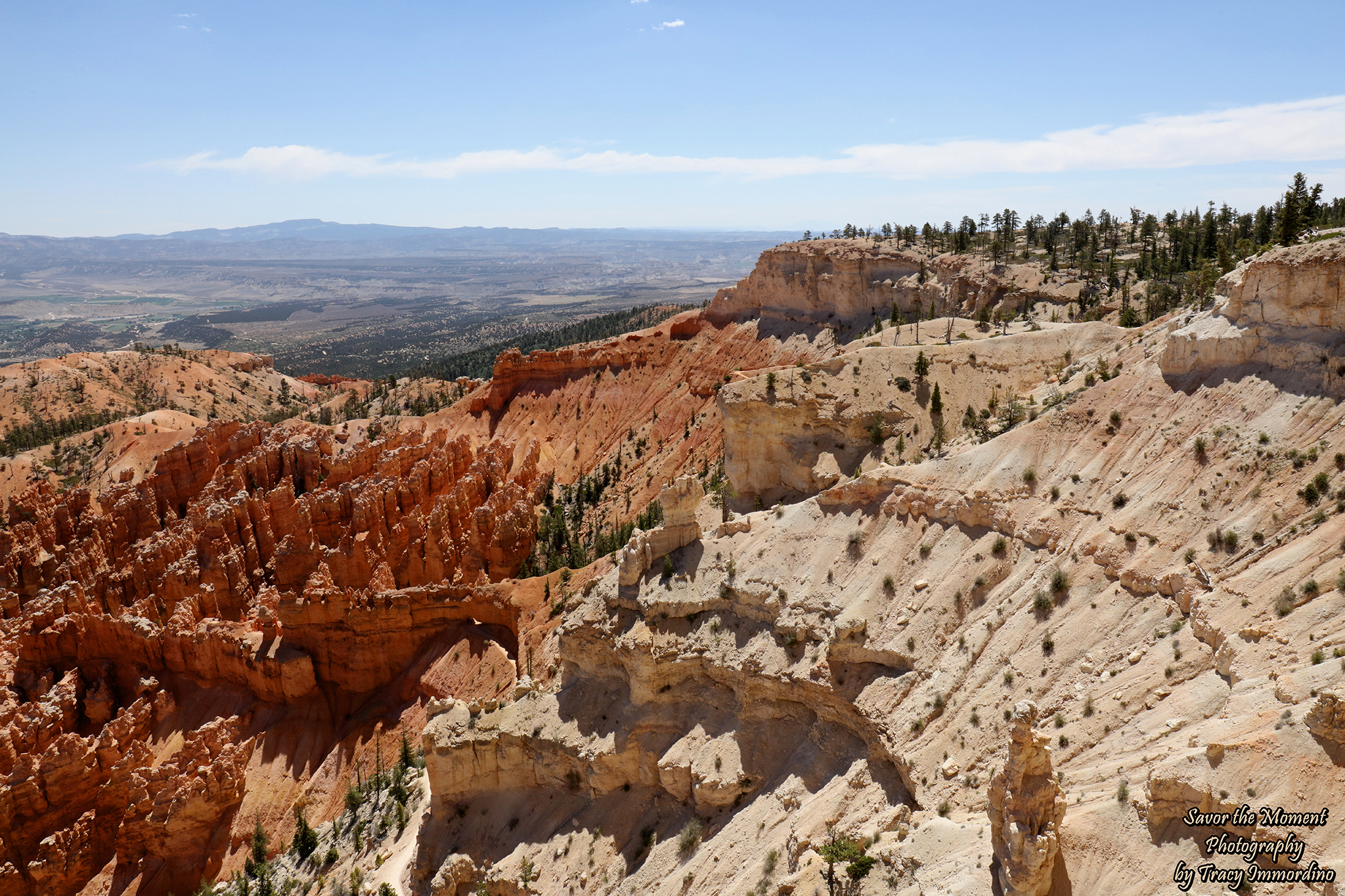 Bryce Point Canyon