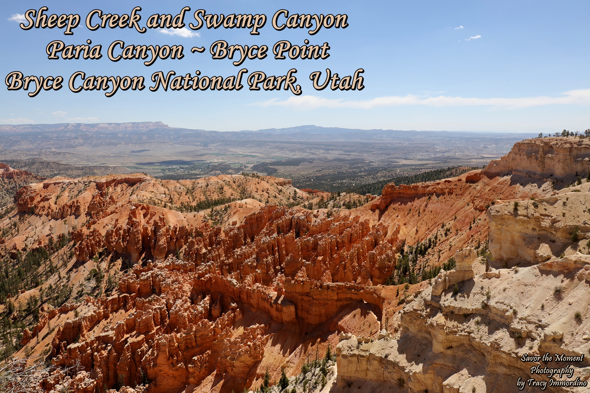 Sheep Creek and Swamp Canyon ~ Paria Canyon ~ Bryce Point ~ Bryce Canyon National Park, Utah