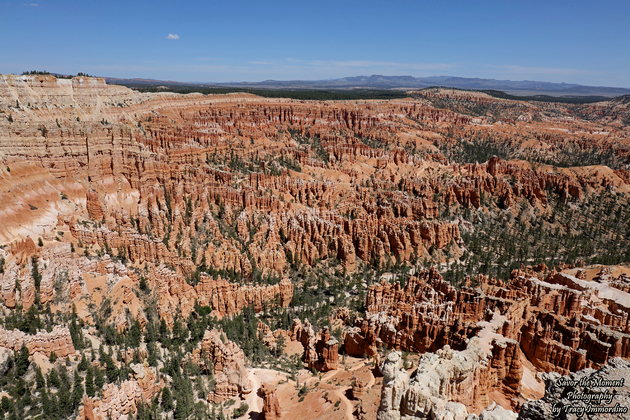 Bryce Point Canyon