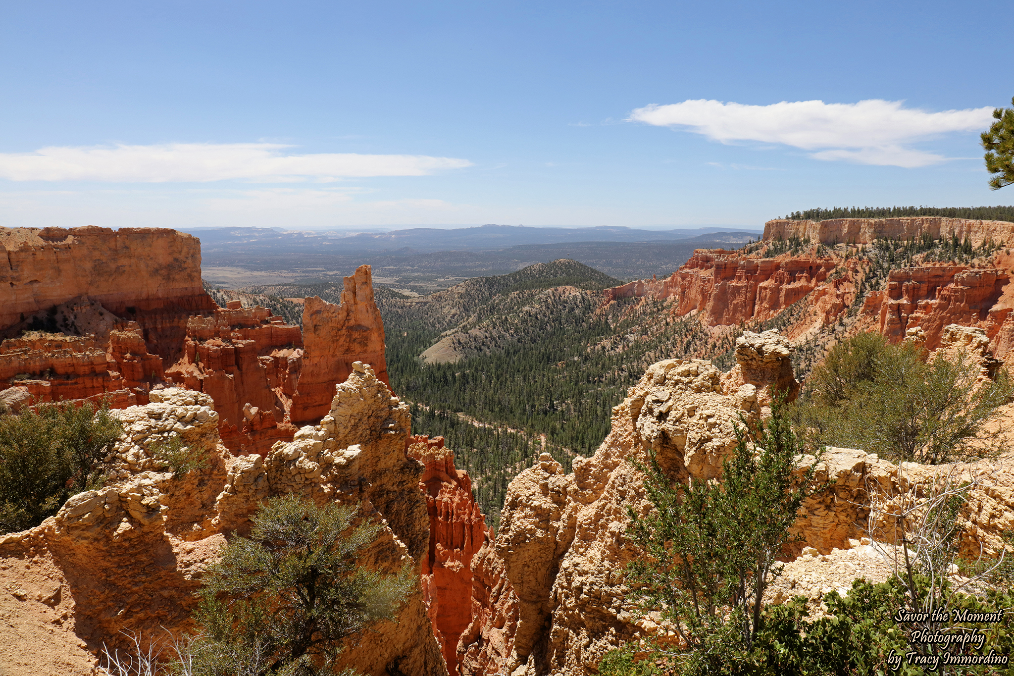 Paria Canyon Overlook