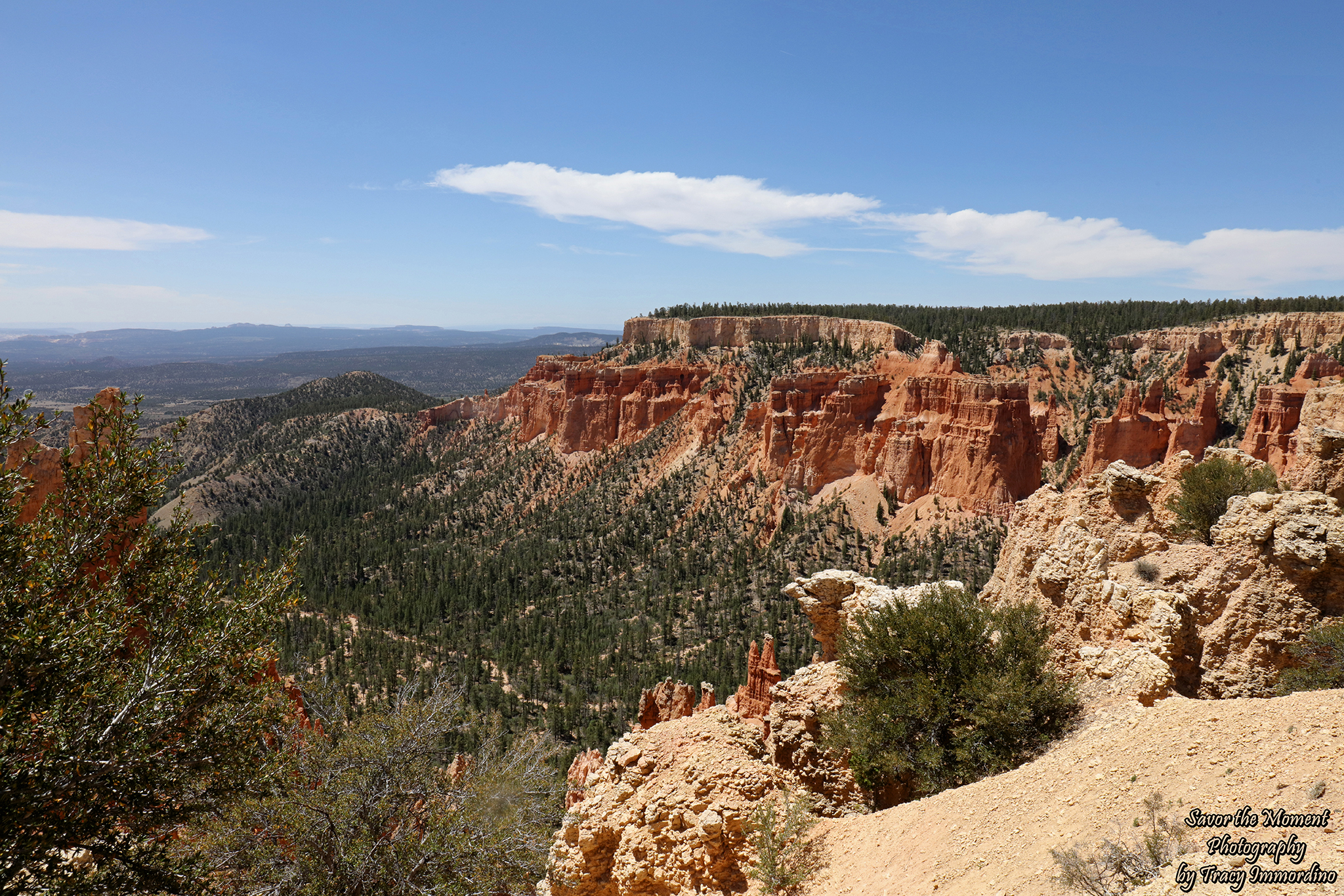 Paria Canyon Overlook