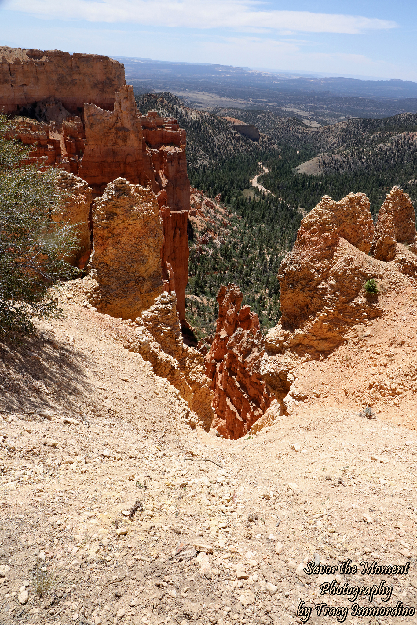 Paria Canyon Overlook