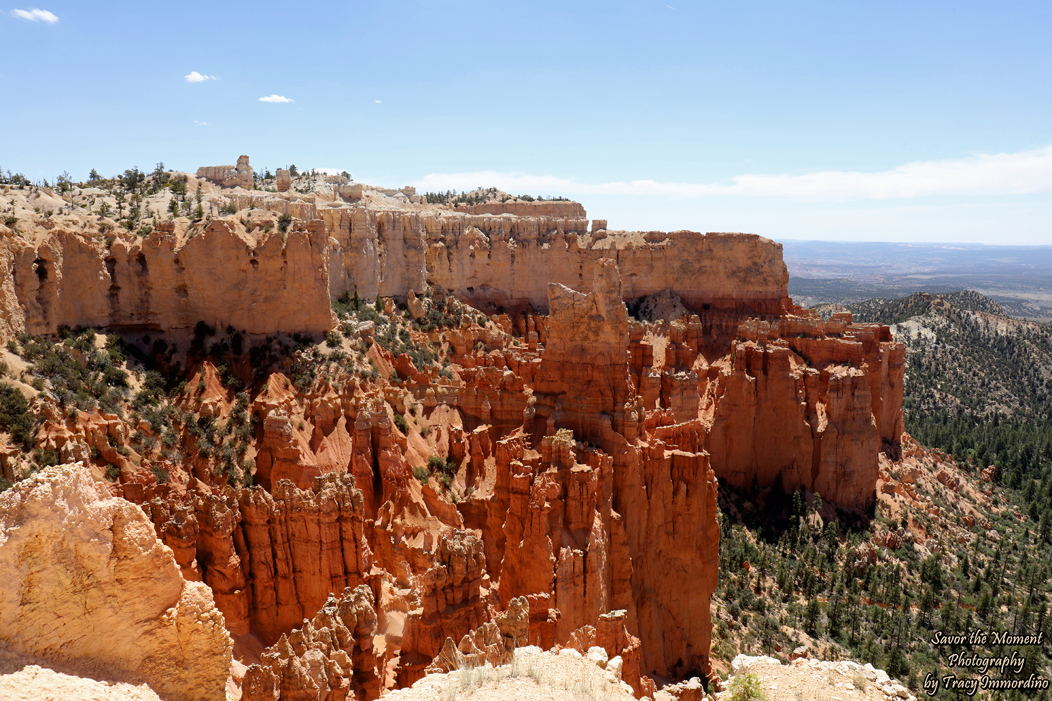 Paria Canyon Overlook