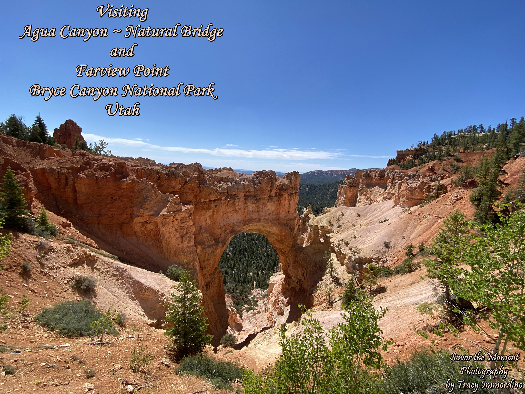 Agua Canyon ~ Natural Bridge ~ Farview Point