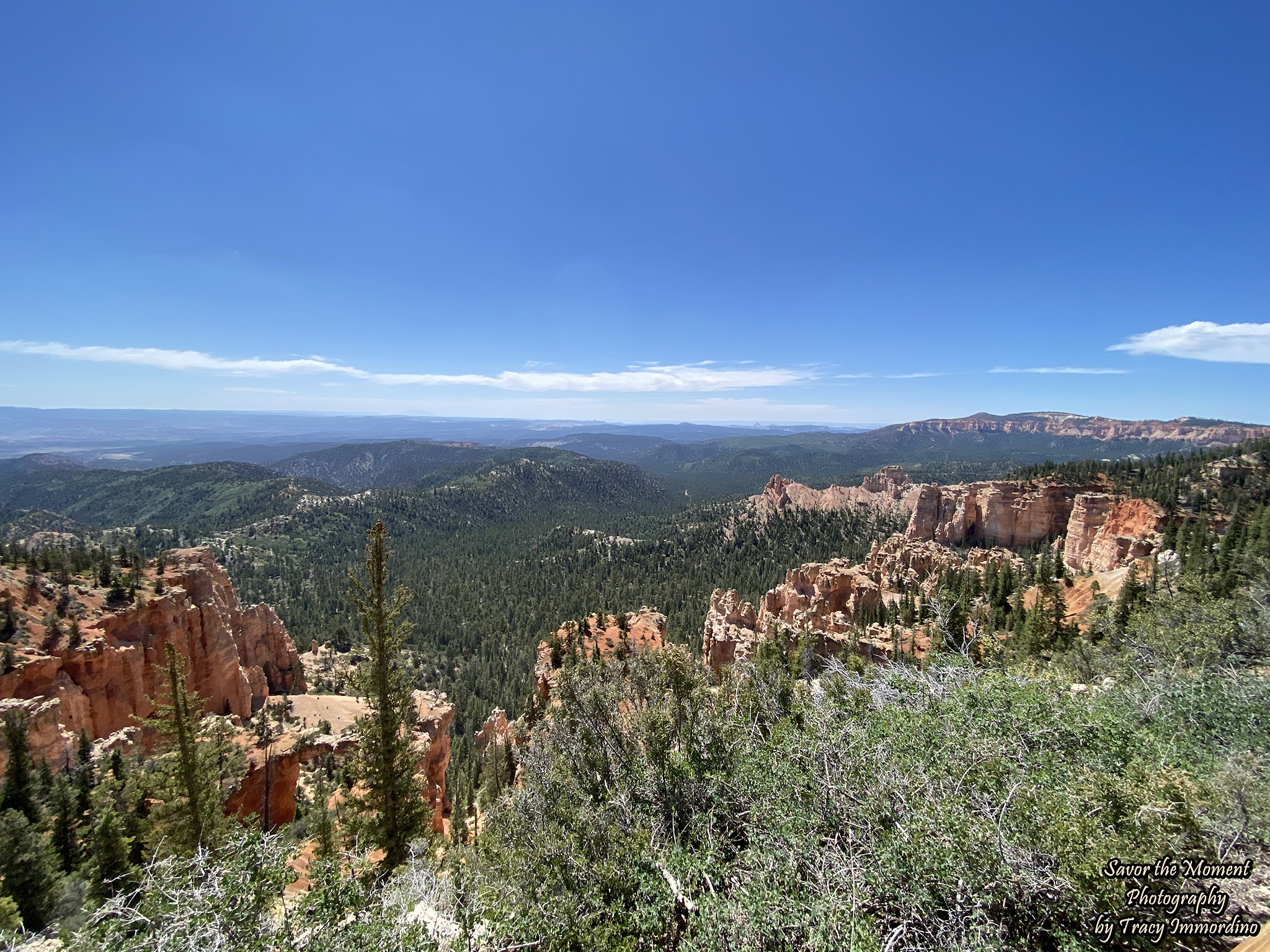 Sheep Creek and Swamp Canyon