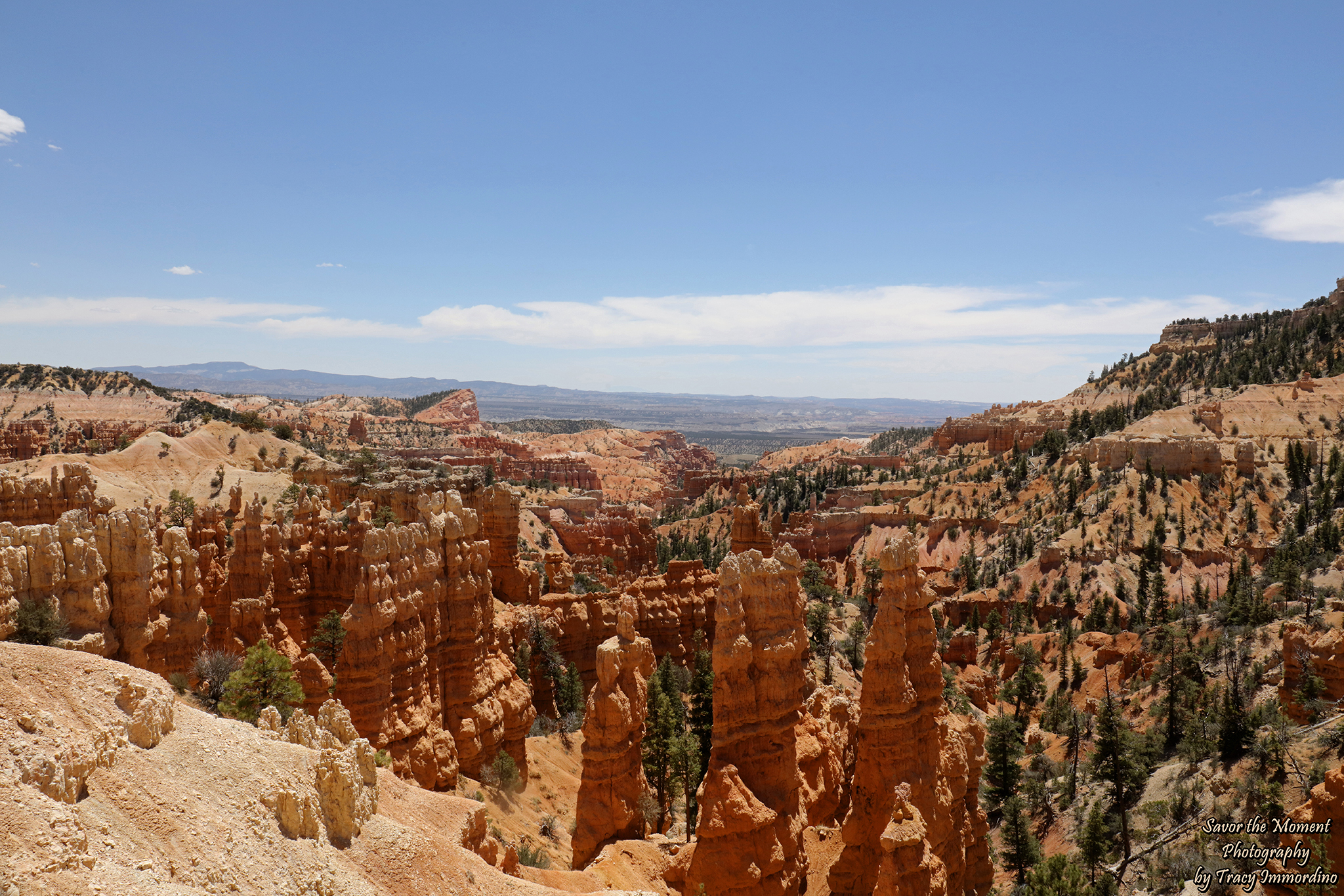 Fairyland Canyon