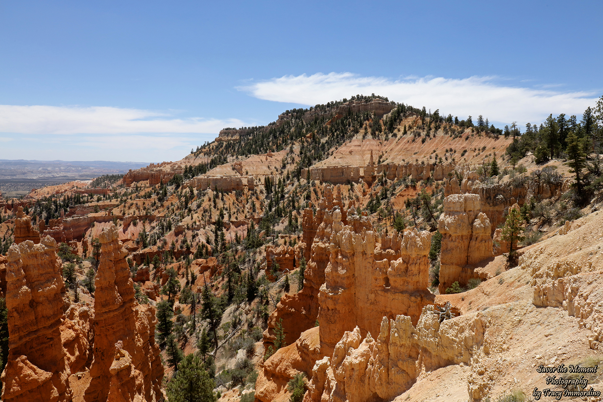 Fairyland Canyon