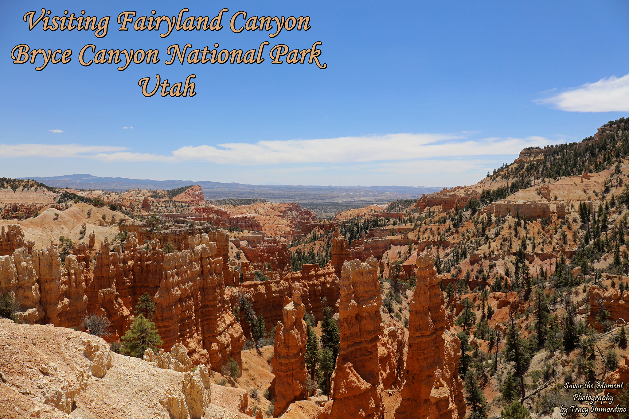 Fairyland Canyon