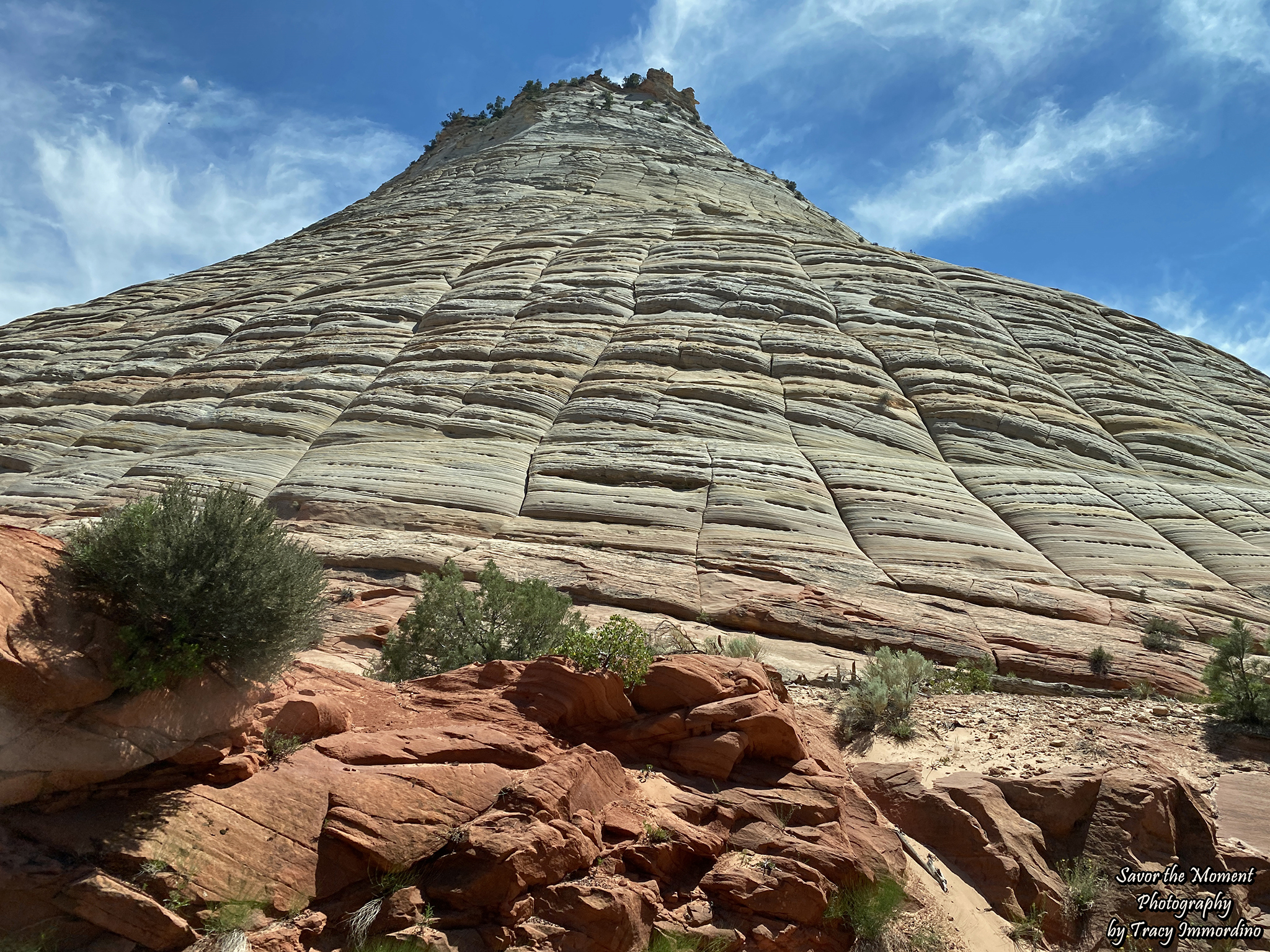 Zion National Park