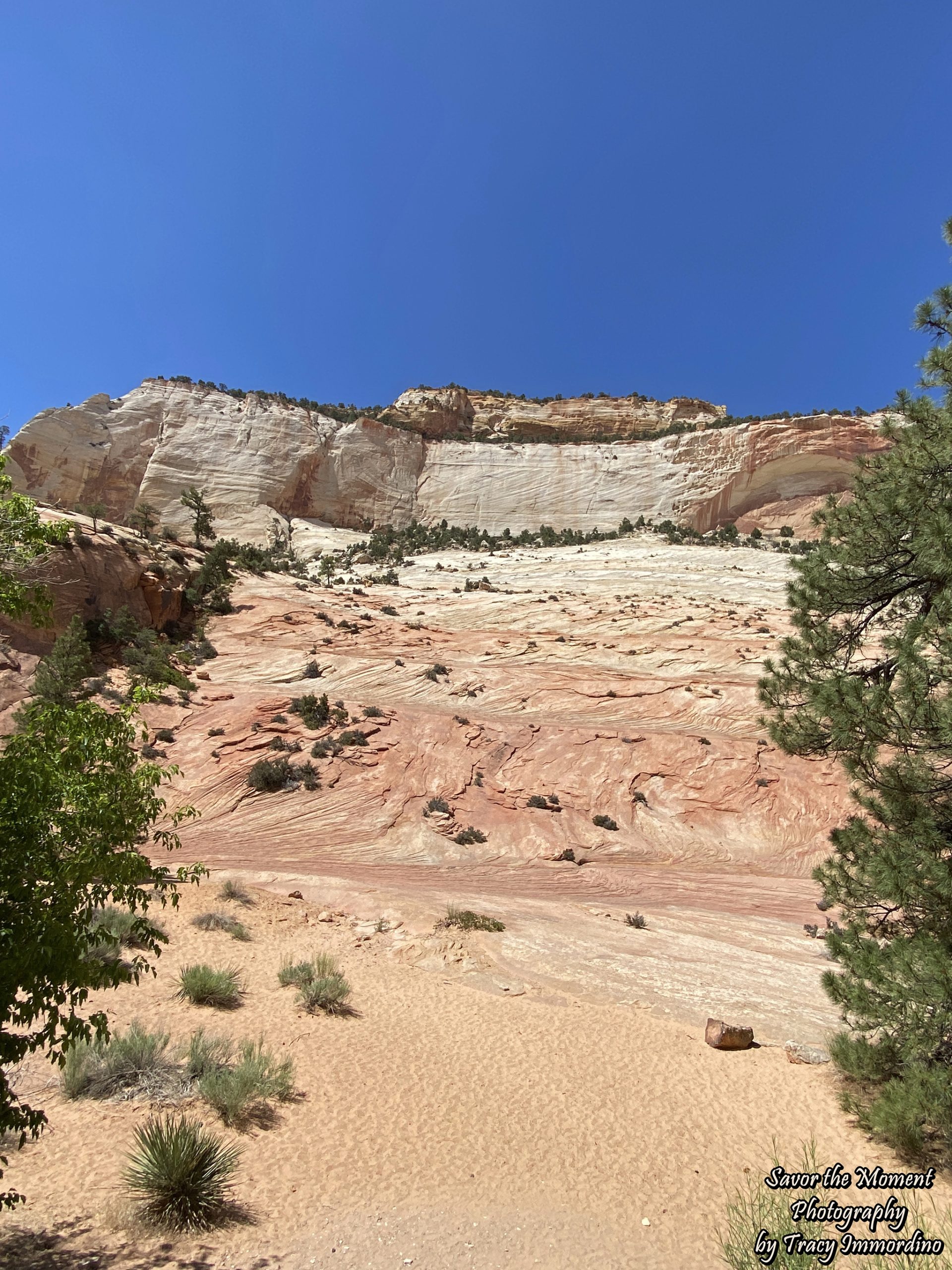 Zion National Park