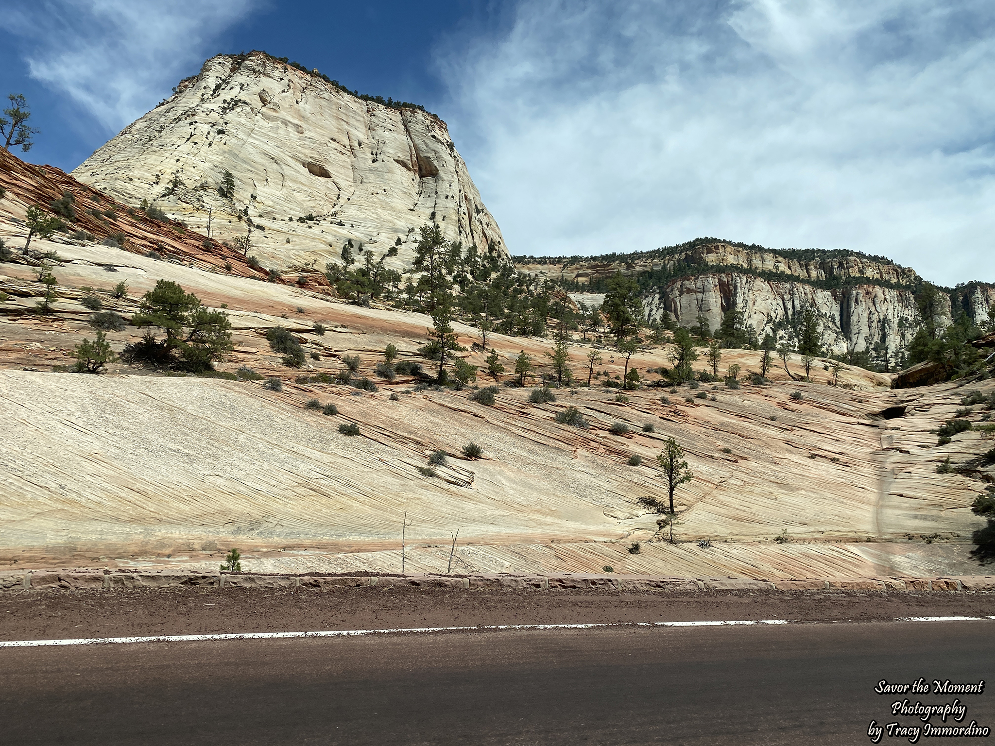 Zion National Park