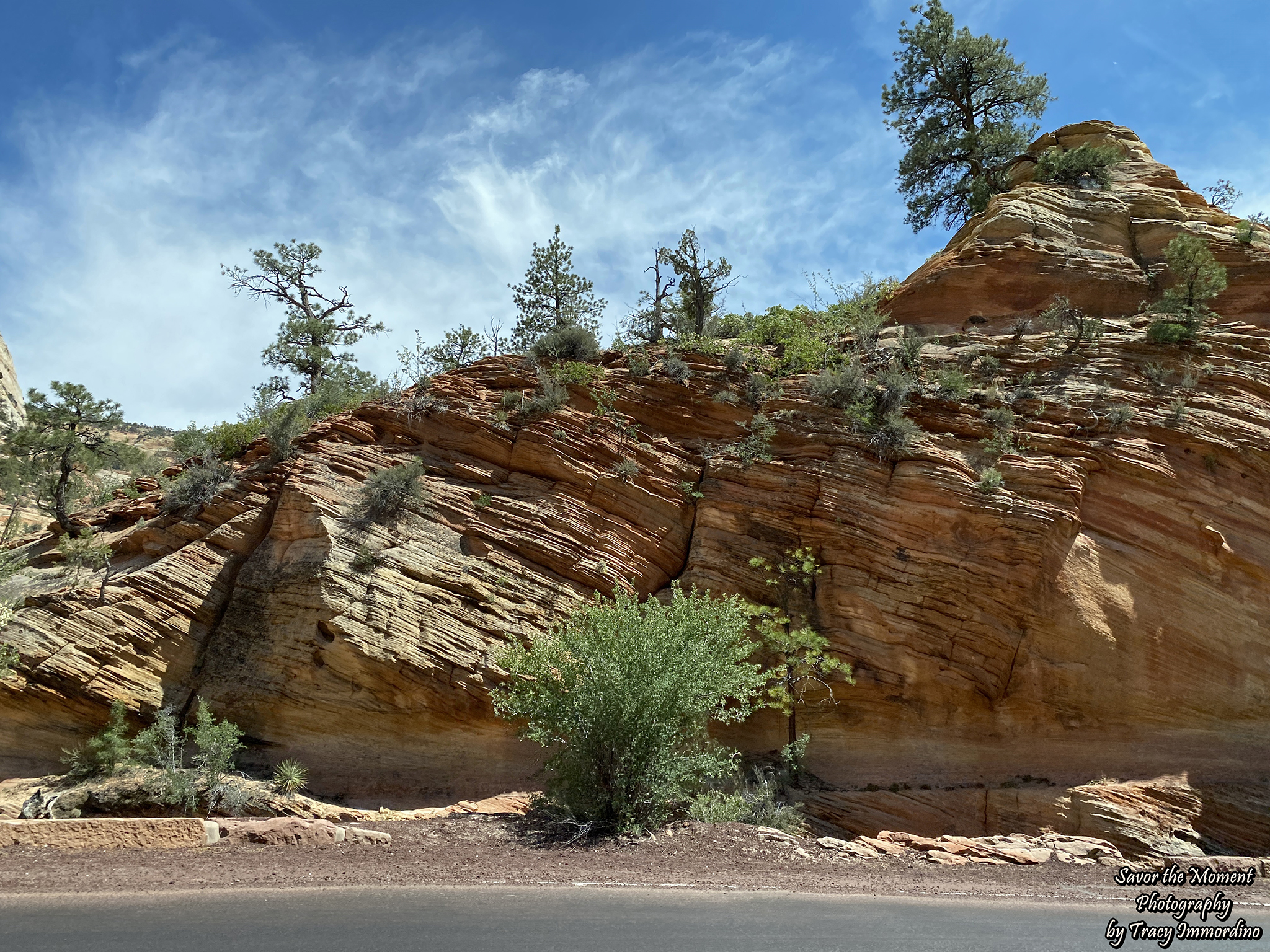 Zion National Park