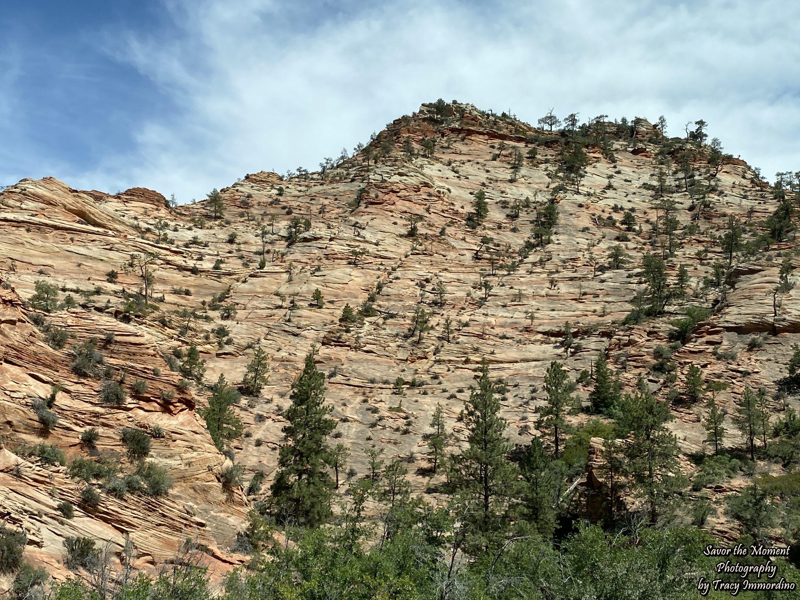 Zion National Park
