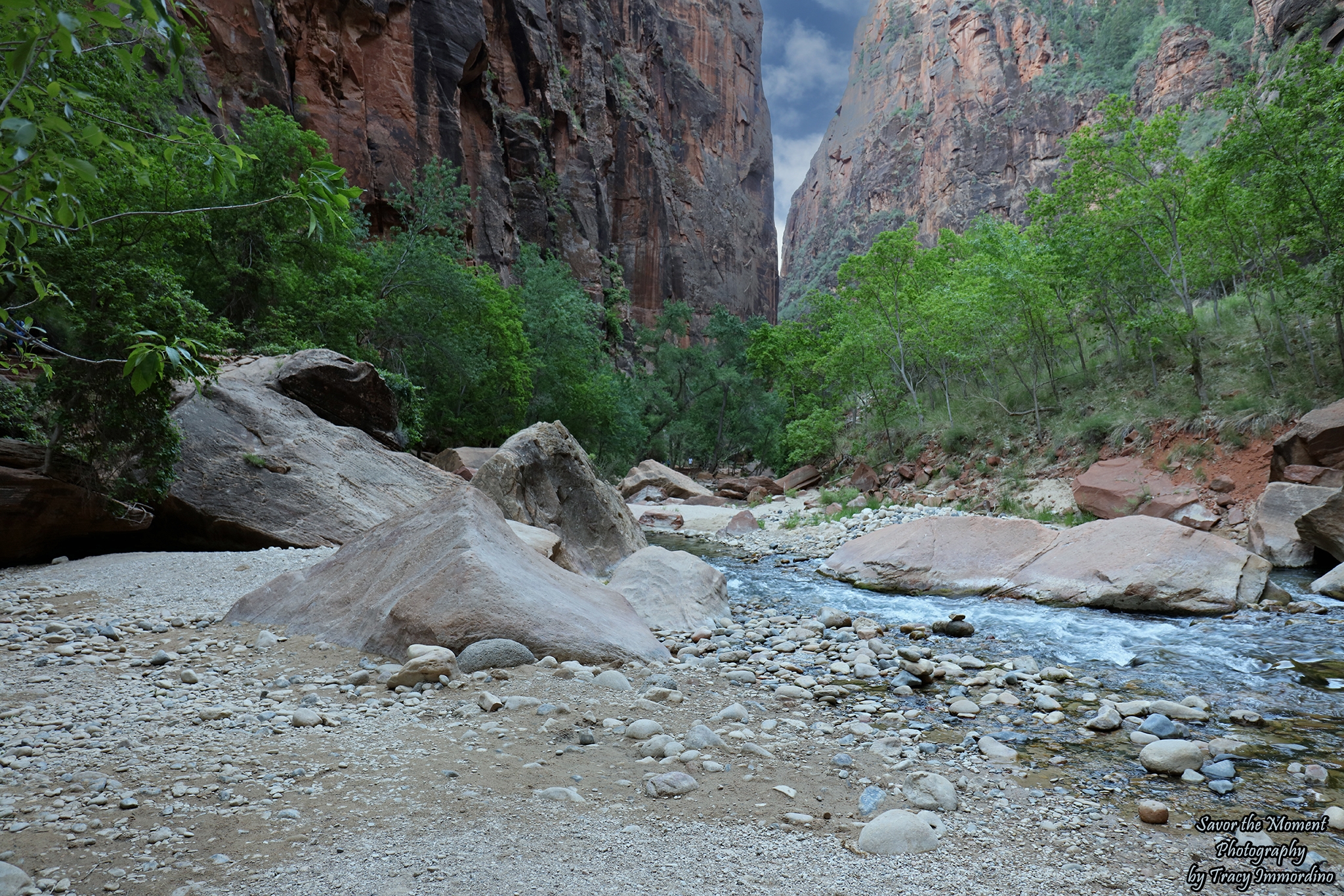 The Riverside Walk Trail