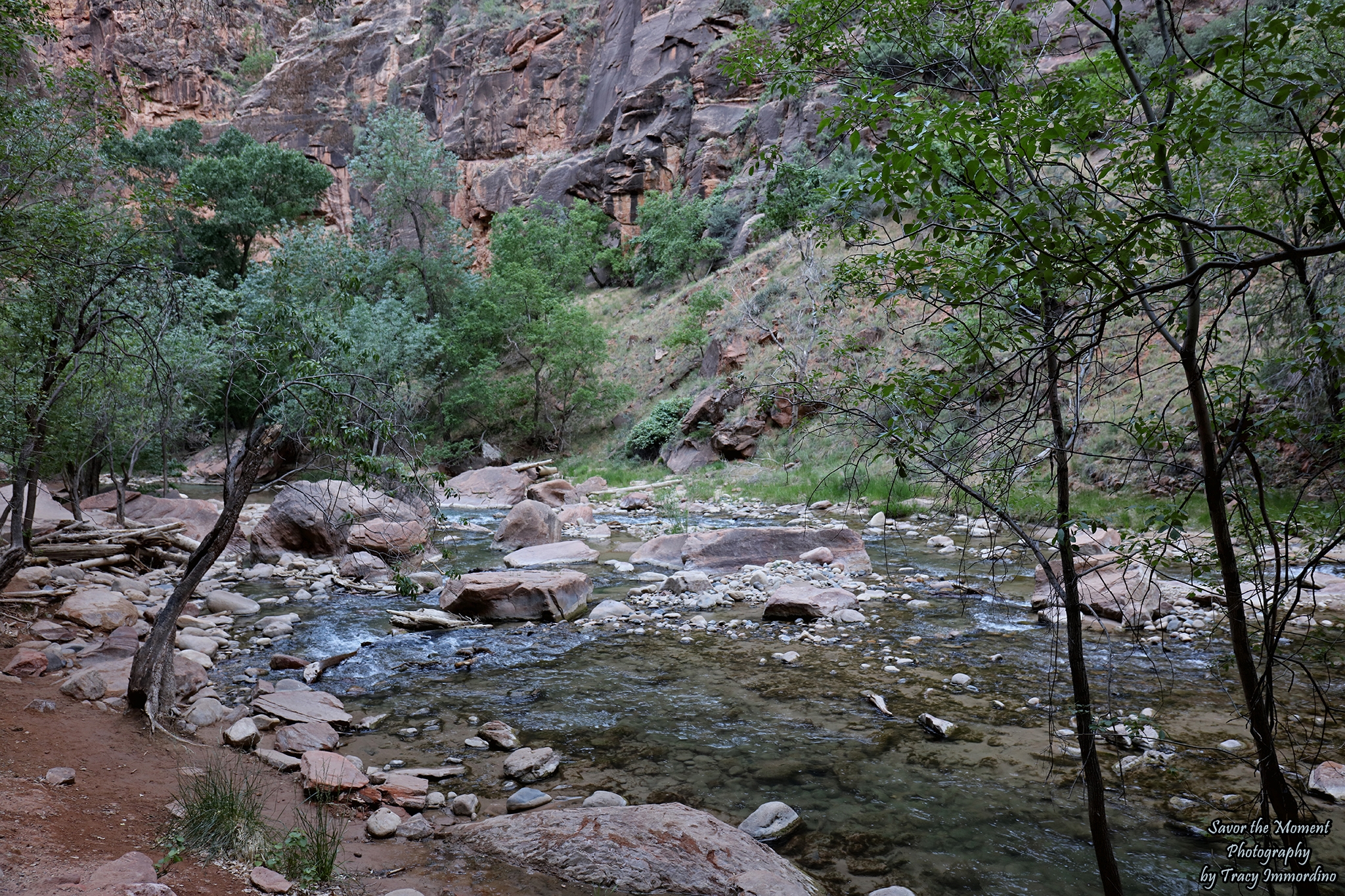 The Riverside Walk Trail