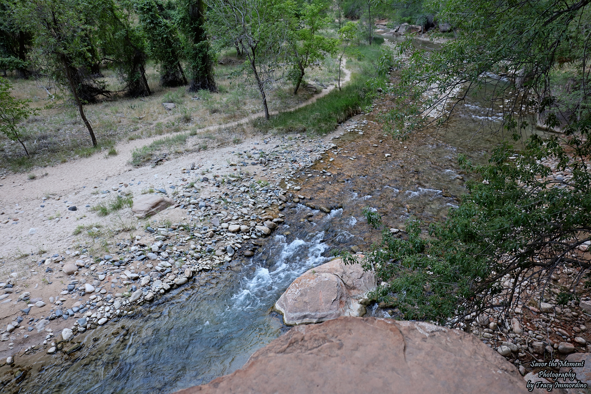 The Riverside Walk Trail