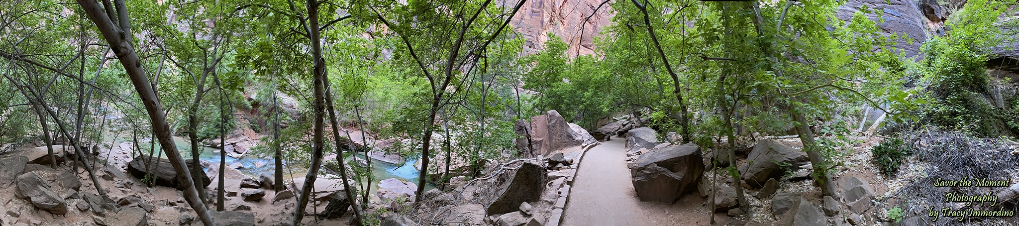 The Riverside Walk Trail