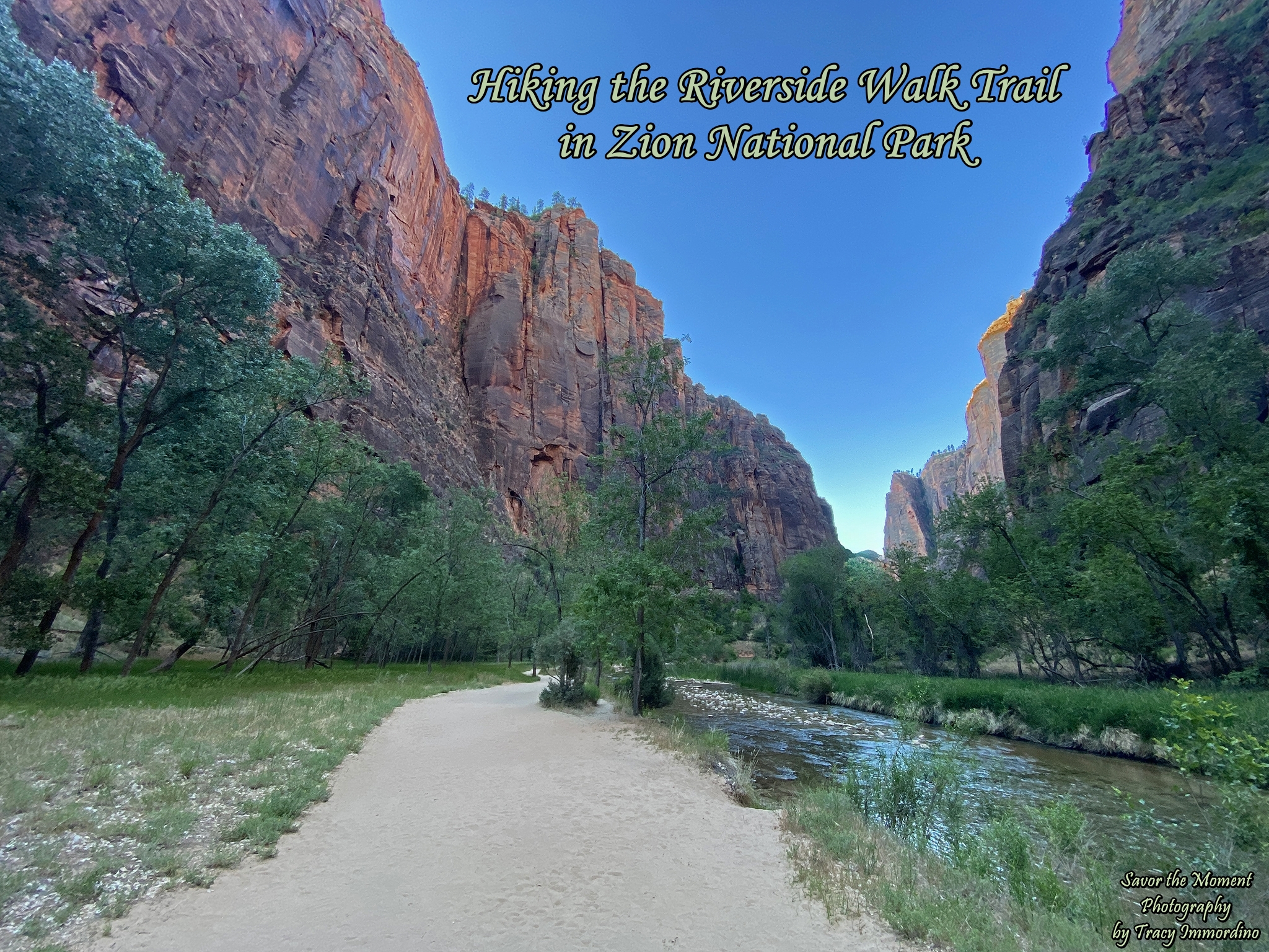 The Riverside Walk Trail in Zion National Park