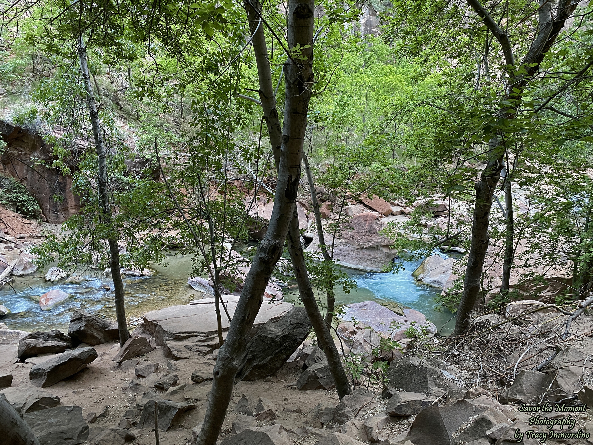 The Riverside Walk Trail