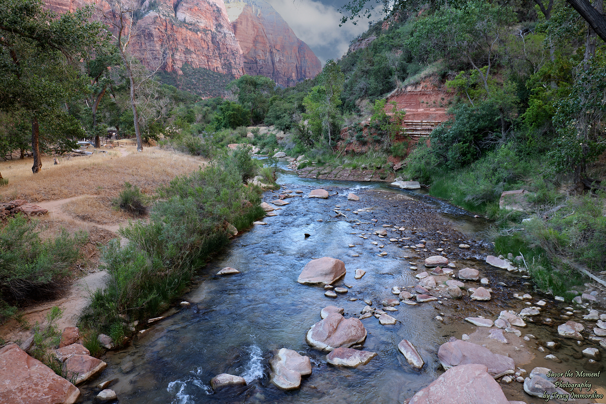 The Lower Emerald Pool Trail
