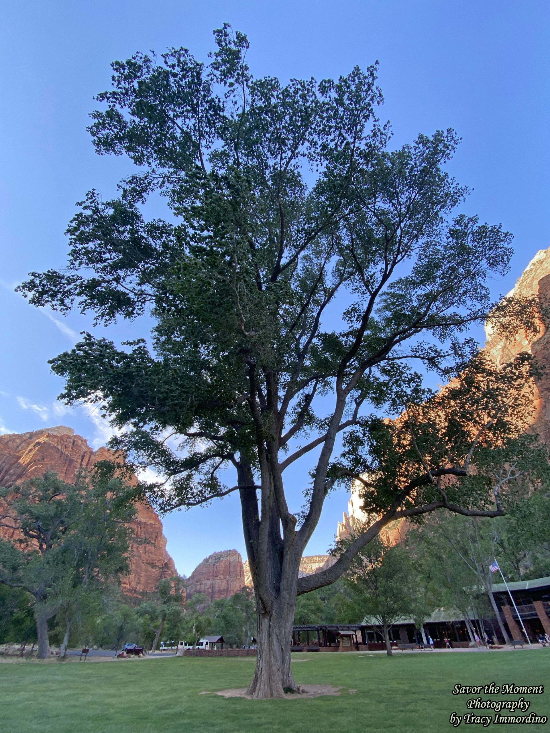 Zion National Park Lodge
