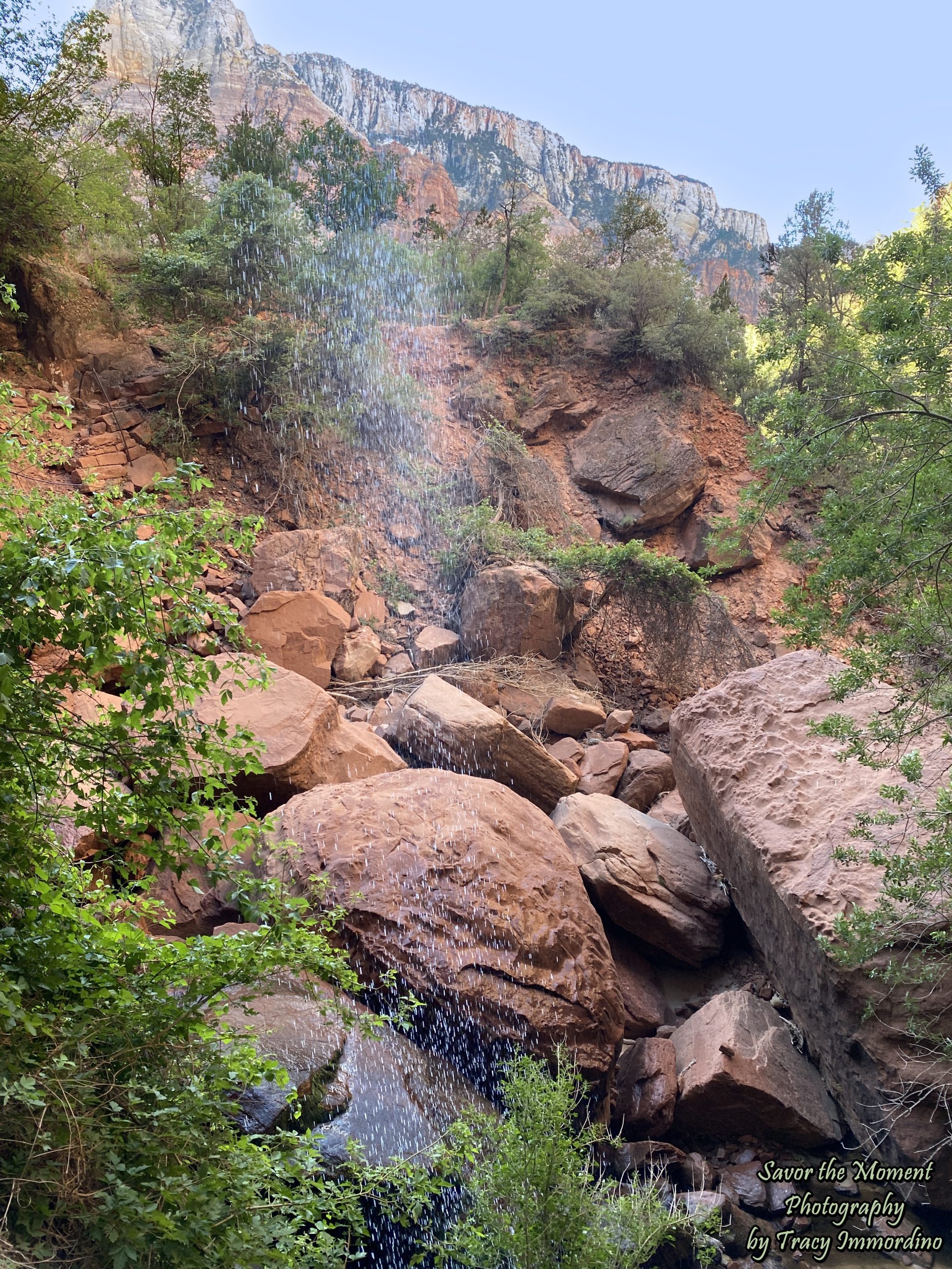 The Lower Emerald Pool Trail