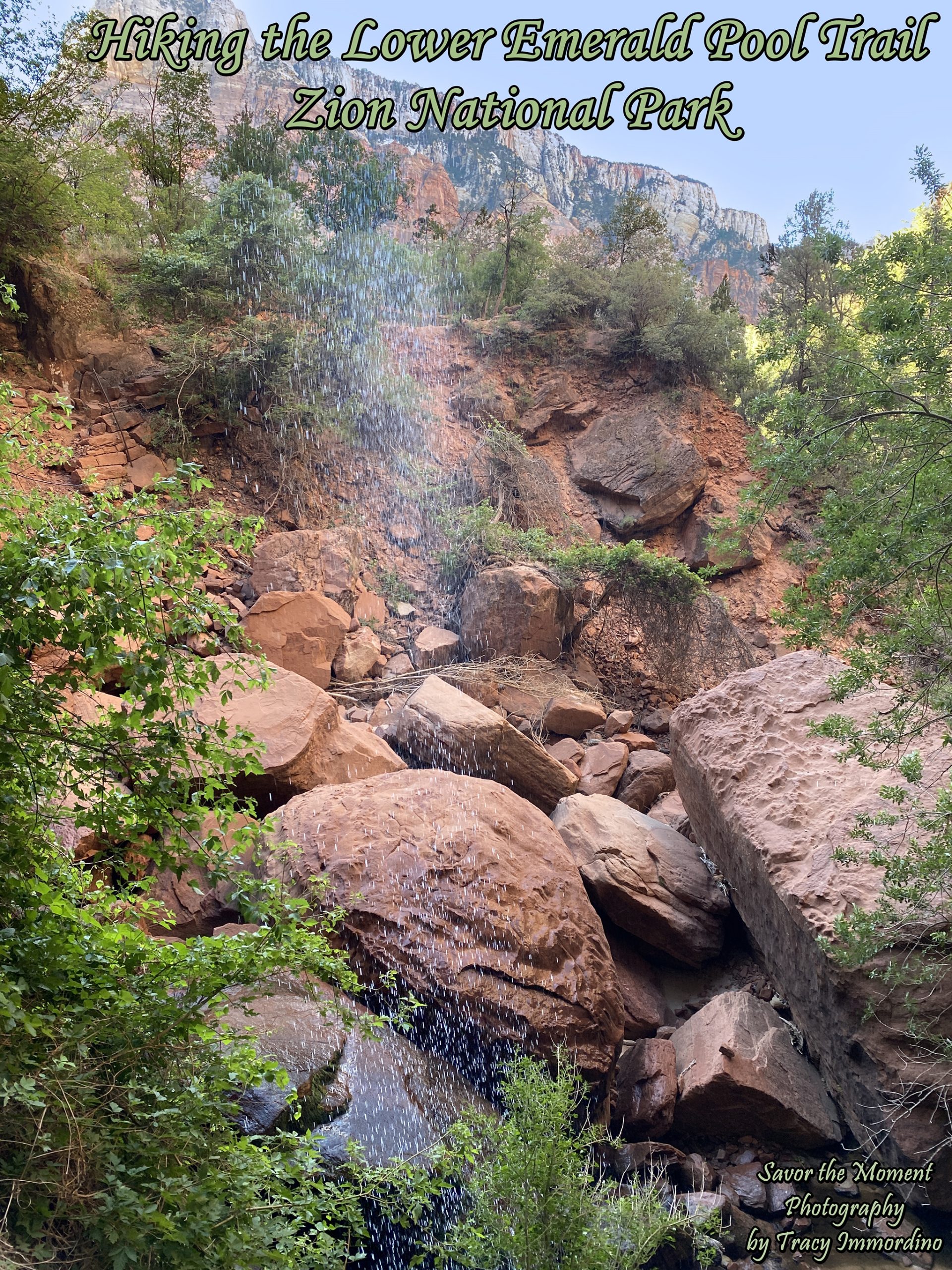 Hiking the Lower Emerald Pool Trail in Zion National Park