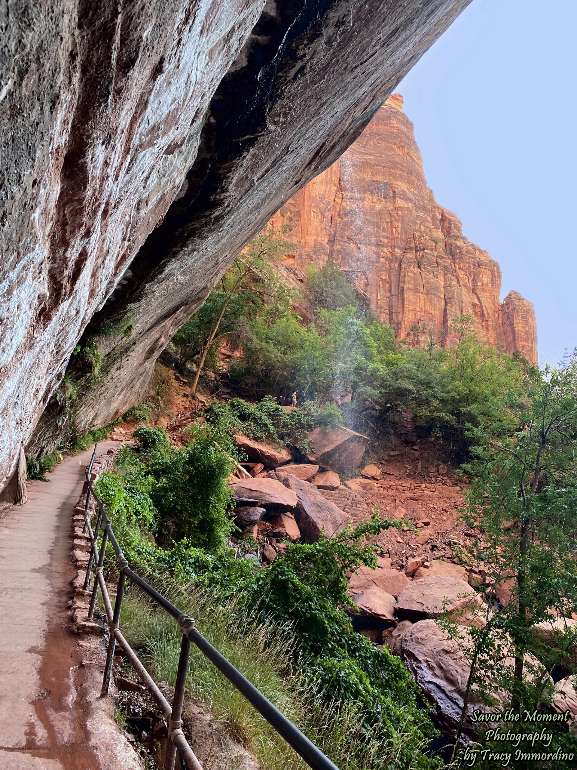 The Lower Emerald Pool Trail