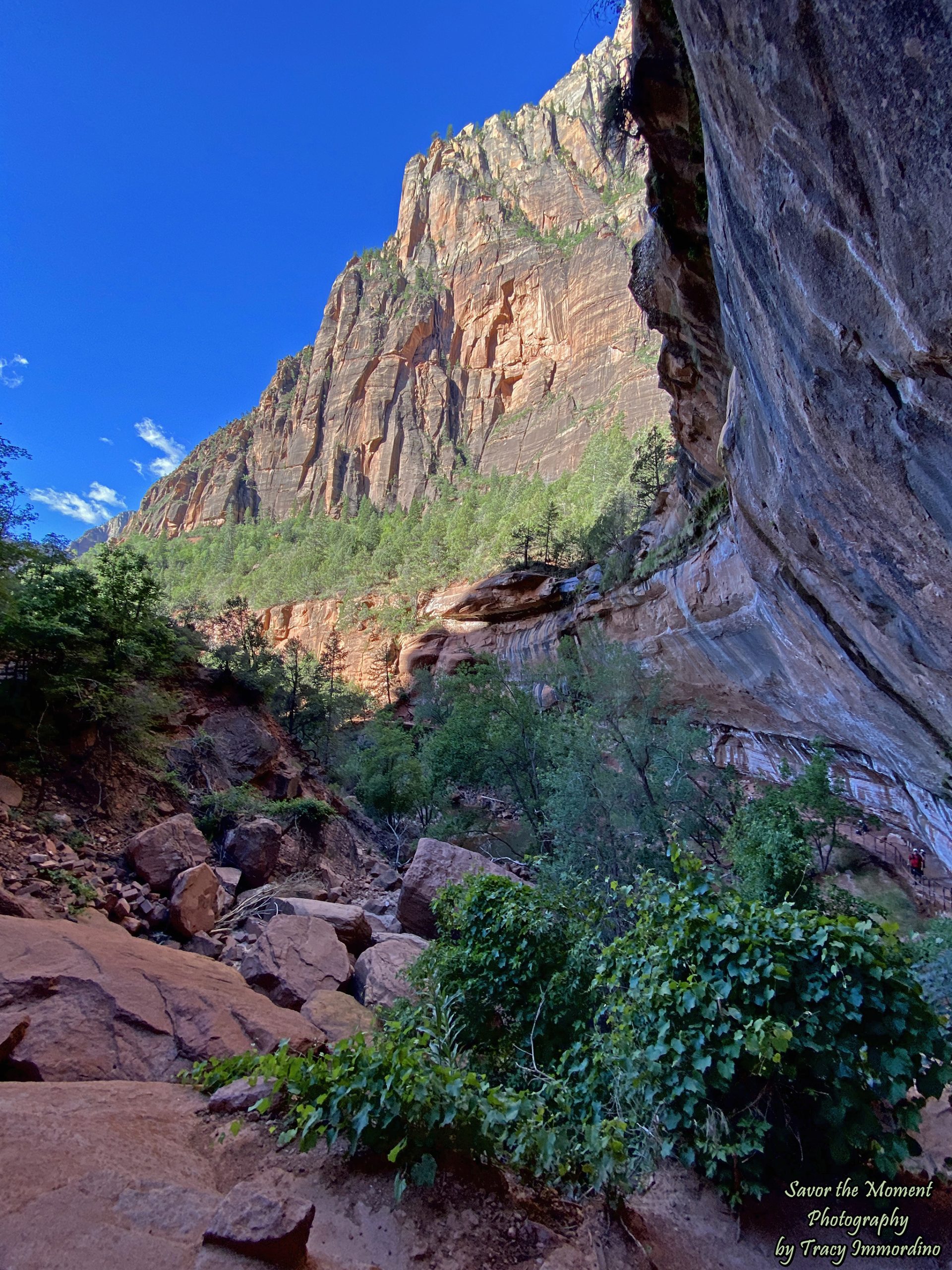 The Lower Emerald Pool Trail