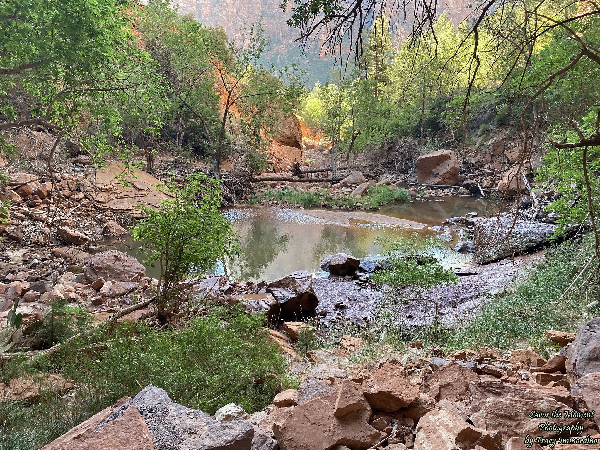 The Lower Emerald Pool Trail