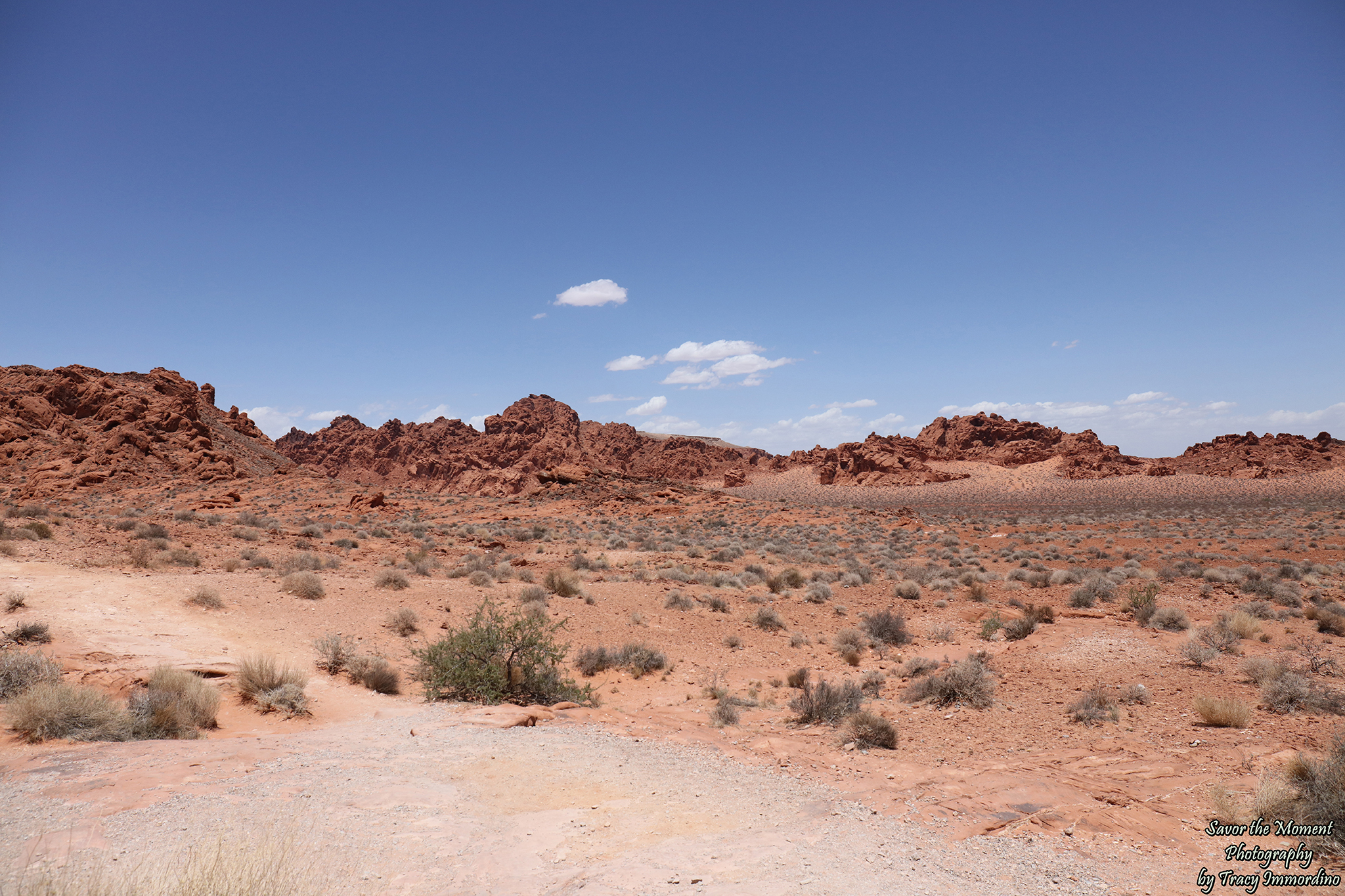 The Valley of Fire State Park