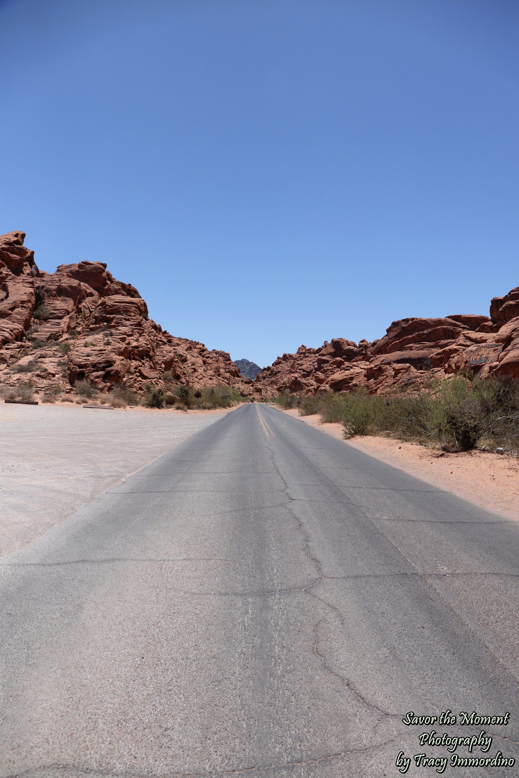 The Valley of Fire State Park