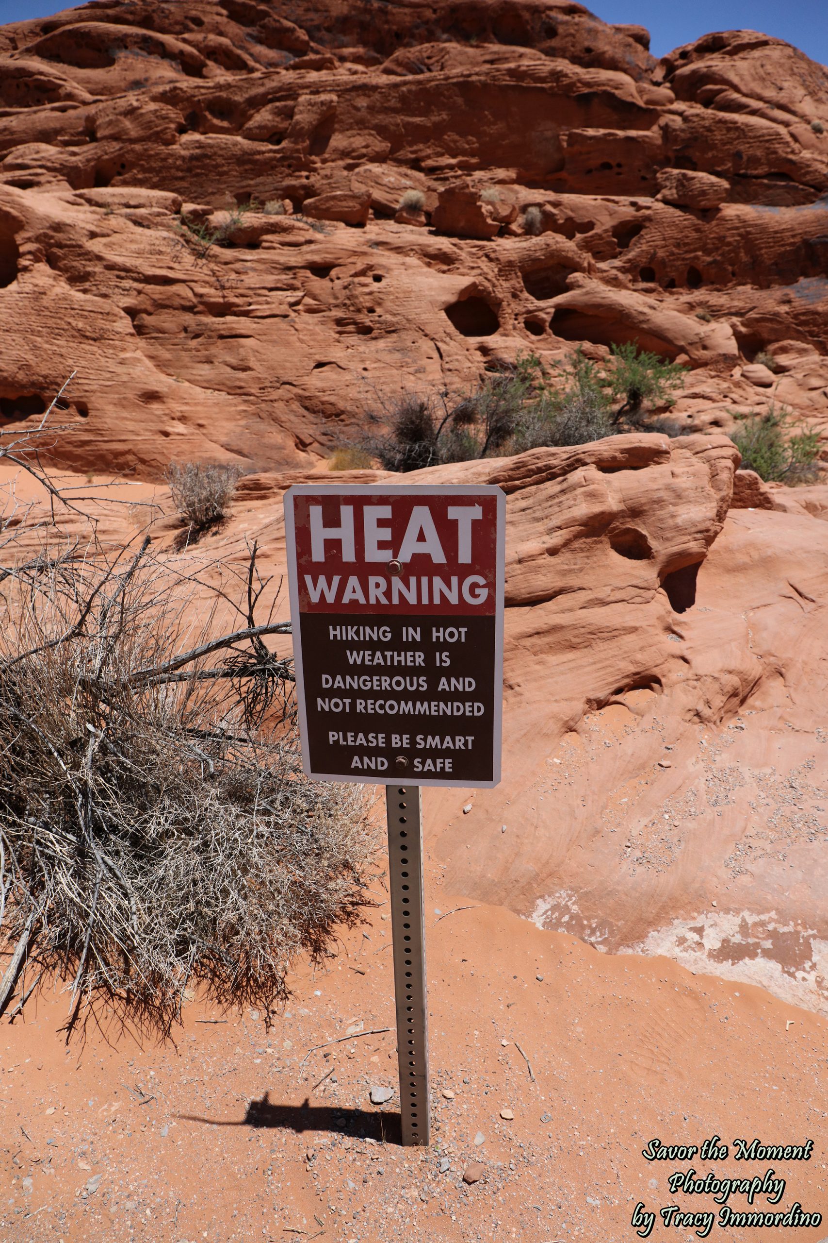 The Valley of Fire State Park