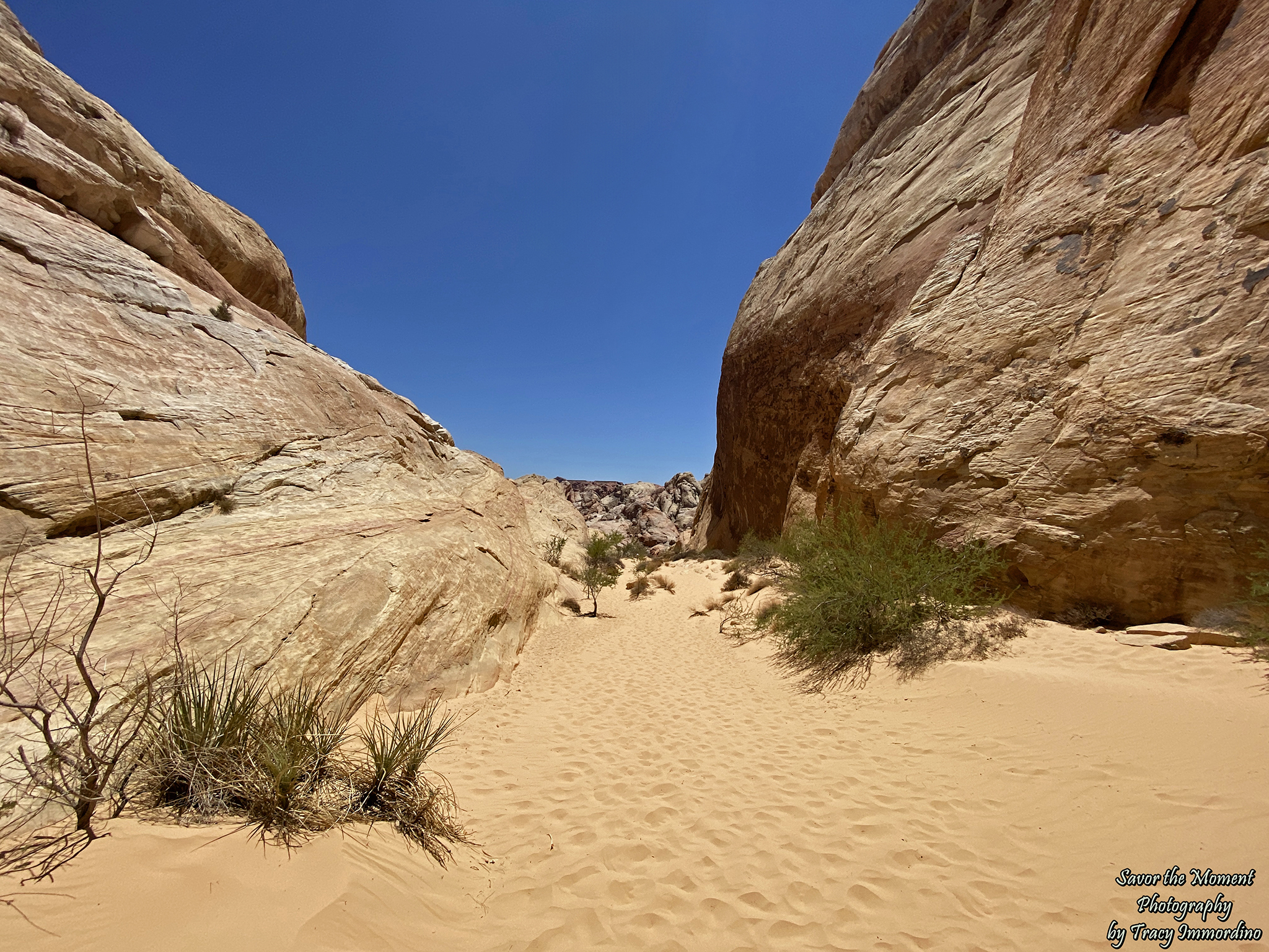 The Valley of Fire State Park
